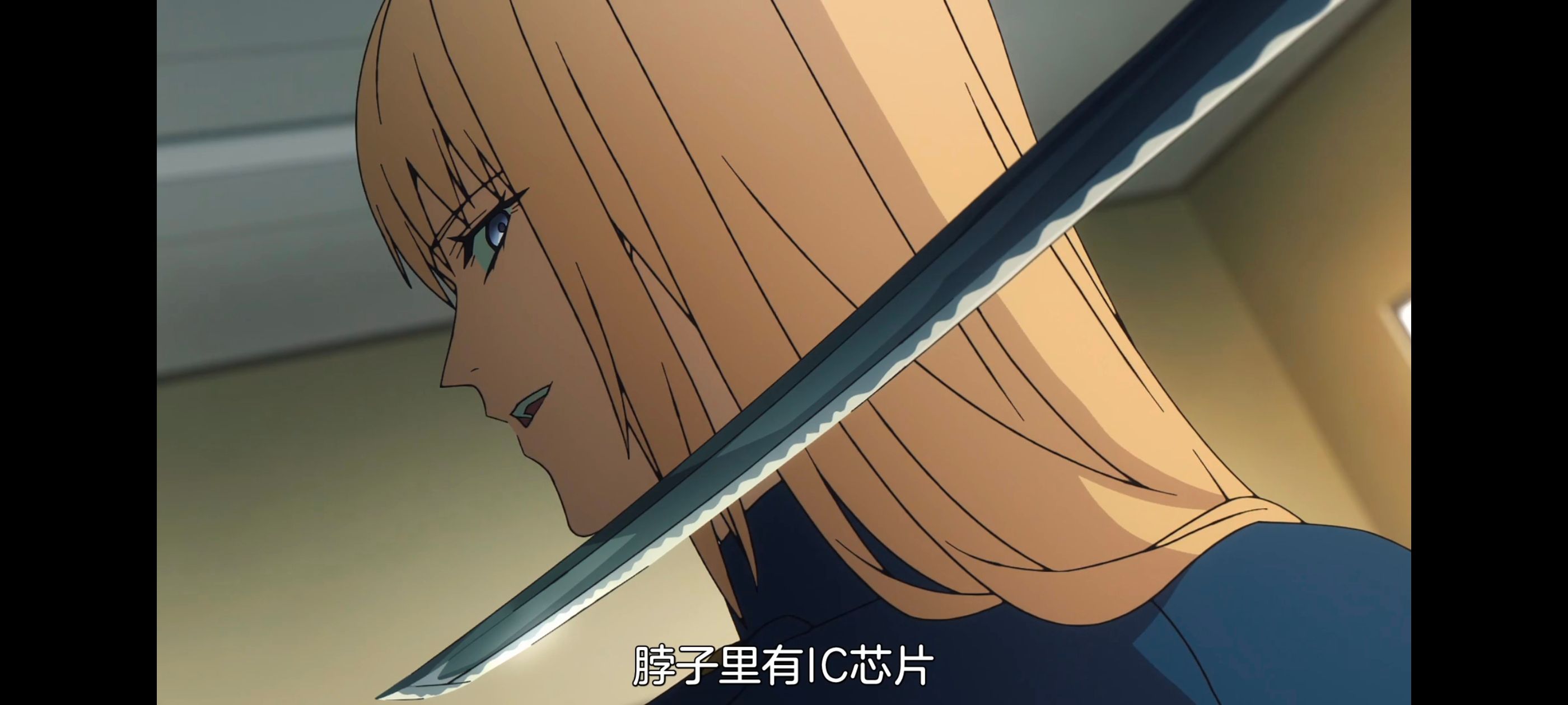 命运奇异赝品,FatestrangeFake,FATE,动画,动漫,番剧,二次元,ACG