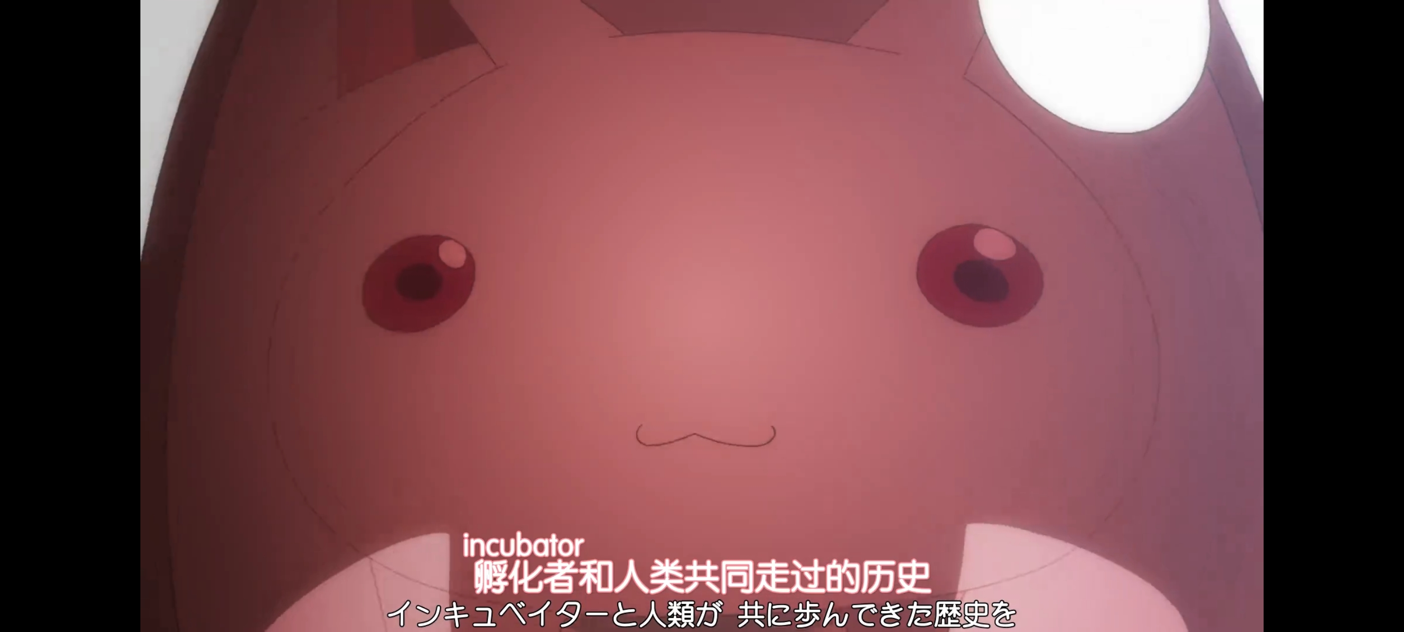 魔法少女小圆,魔法少女,动画,动漫,番剧,二次元,ACG