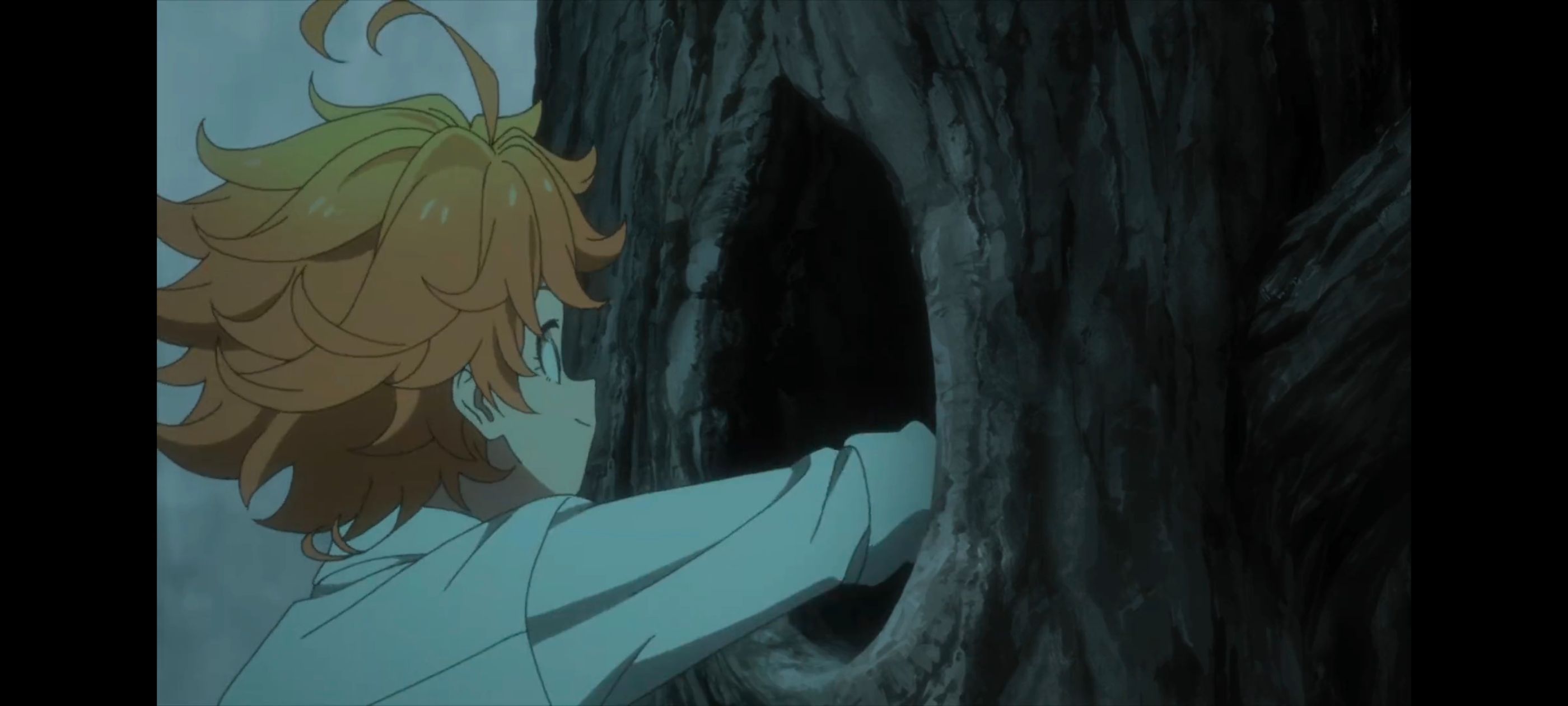 约定的梦幻岛,动画,动漫,番剧,ACG