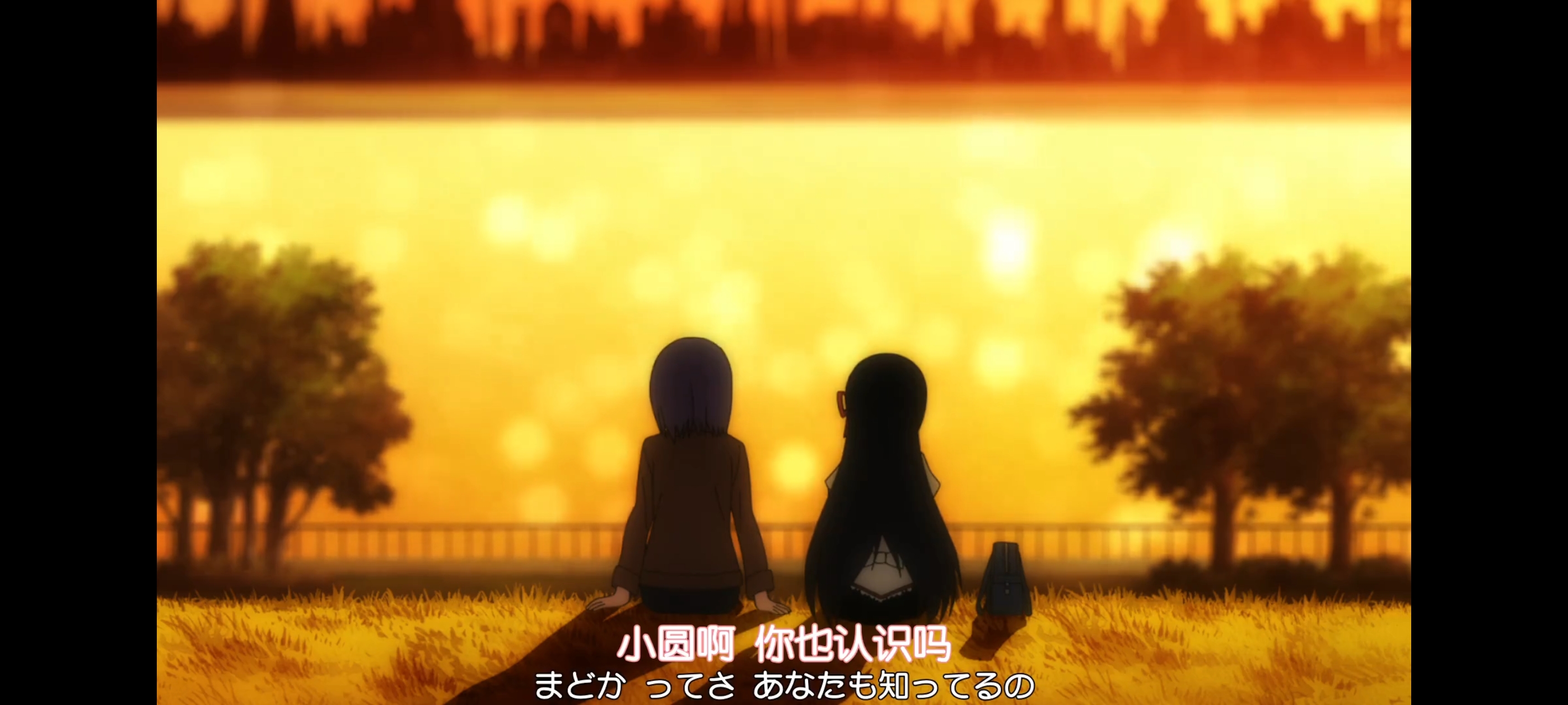 魔法少女小圆,魔法少女,动画,动漫,番剧,二次元,ACG