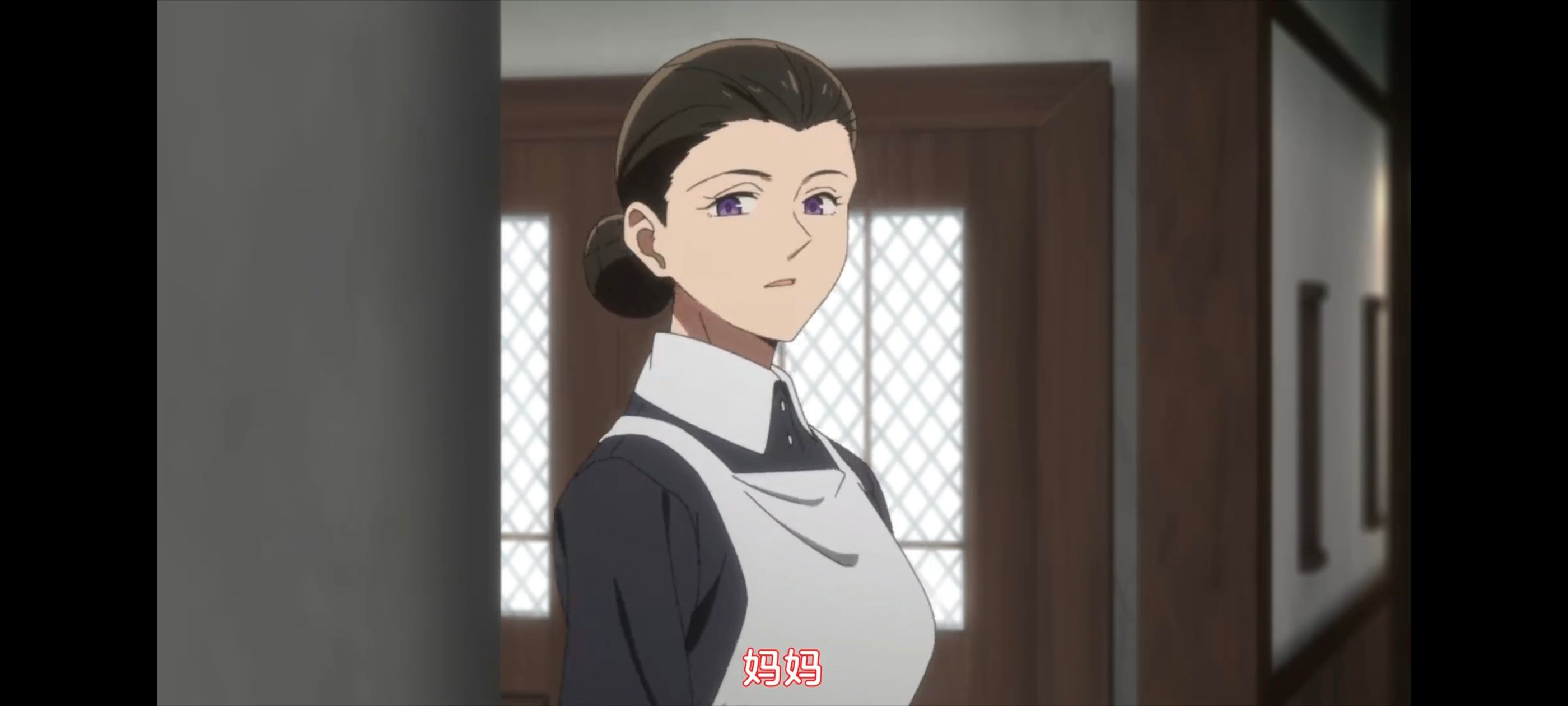 约定的梦幻岛,动画,动漫,番剧,二次元,ACG