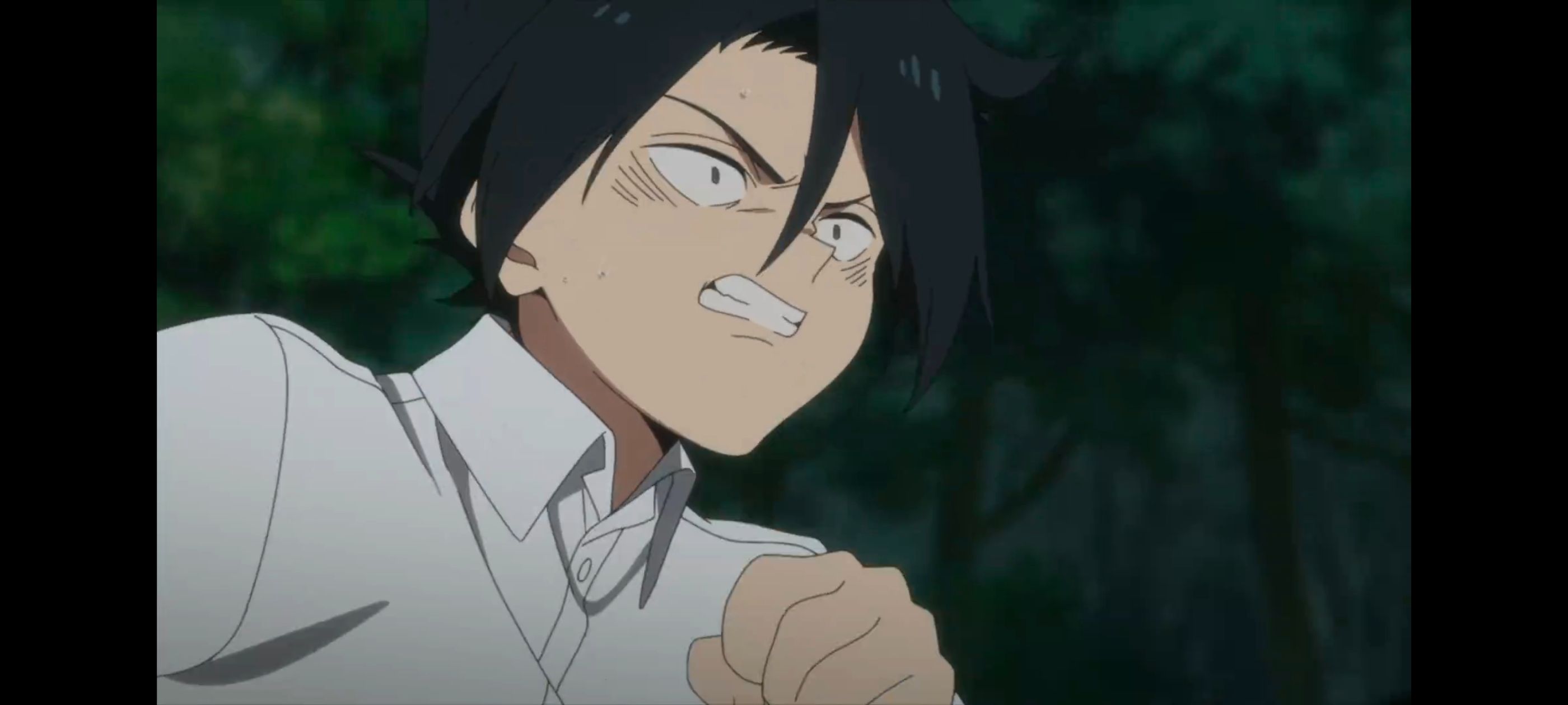 约定的梦幻岛,动画,动漫,番剧,二次元,ACG