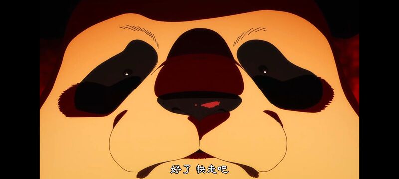 咒术回战,咒术回战死灭回游,动画,动漫,番剧,ACG