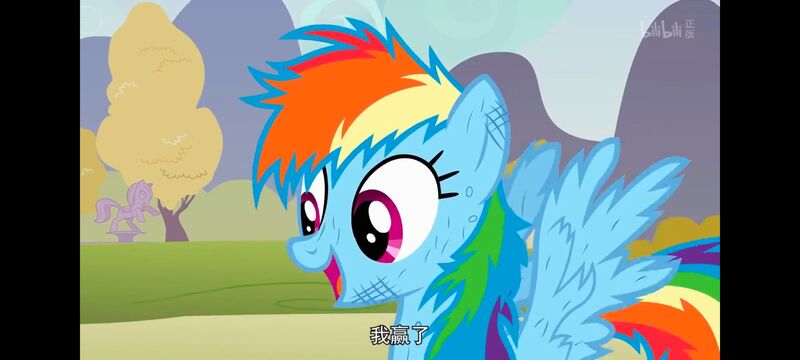 小马宝莉,小马宝莉友谊魔法,彩虹小马,我的小马驹,动画,动漫,番剧,ACG