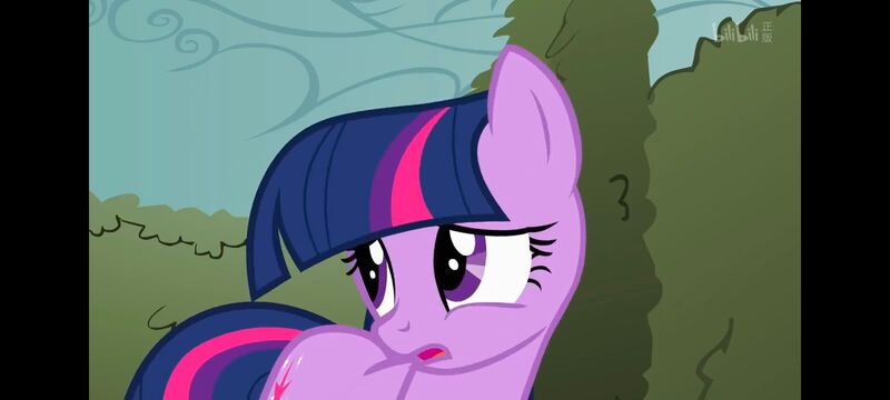 小马宝莉,小马宝莉友谊魔法,彩虹小马,我的小马驹,动画,动漫,番剧,ACG