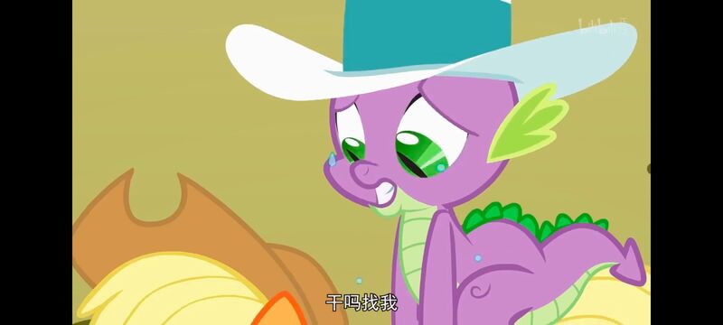 小马宝莉,小马宝莉友谊魔法,彩虹小马,我的小马驹,动画,动漫,番剧,ACG