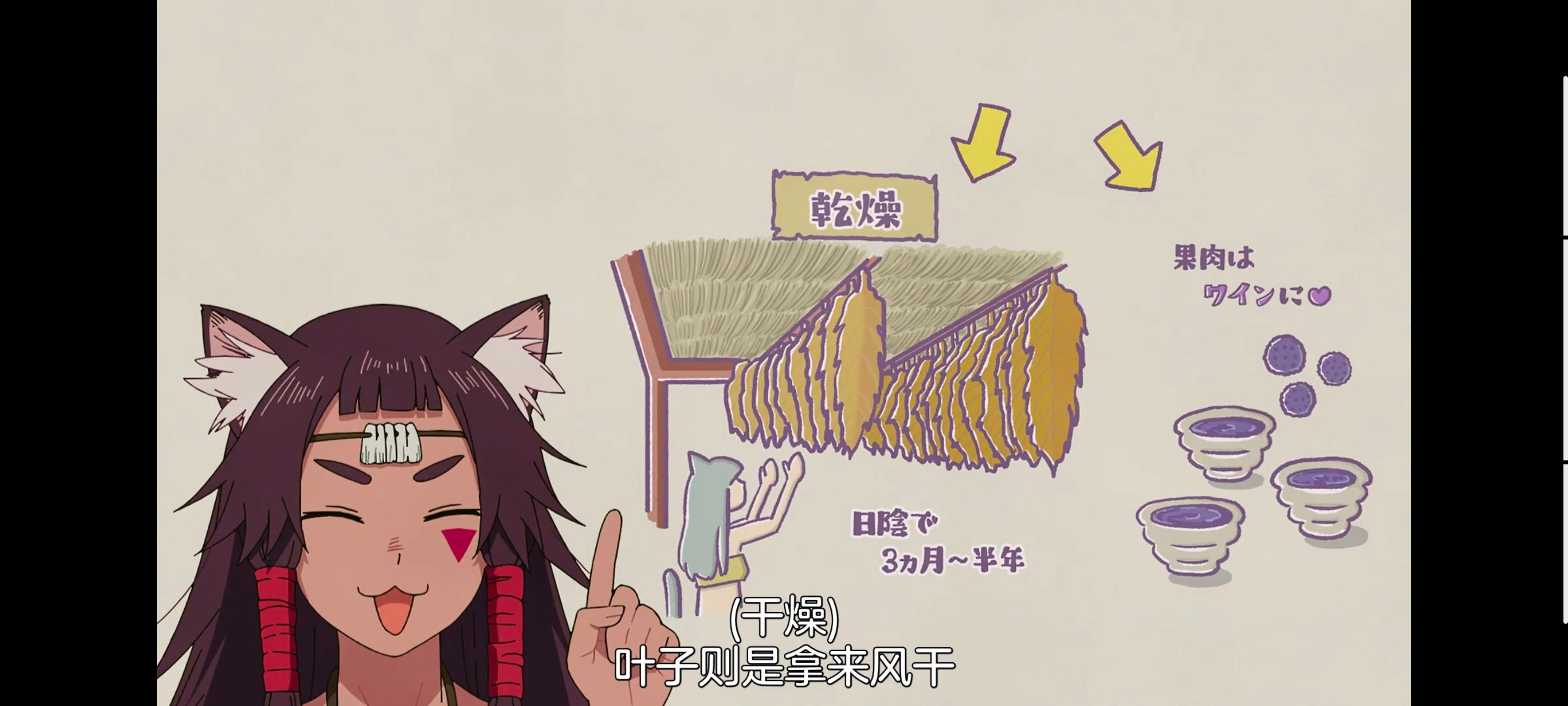 尼古喵喵,雅尼猫,动画,动漫,番剧,日漫,二次元,ACG