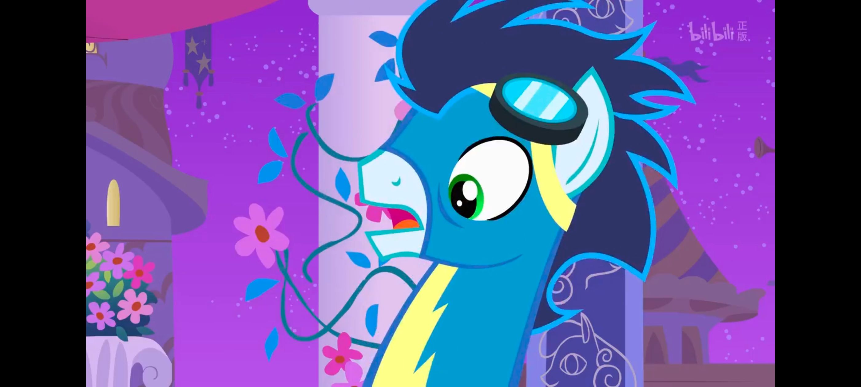 小马宝莉,小马宝莉友谊魔法,彩虹小马,我的小马驹,动画,动漫,番剧,ACG