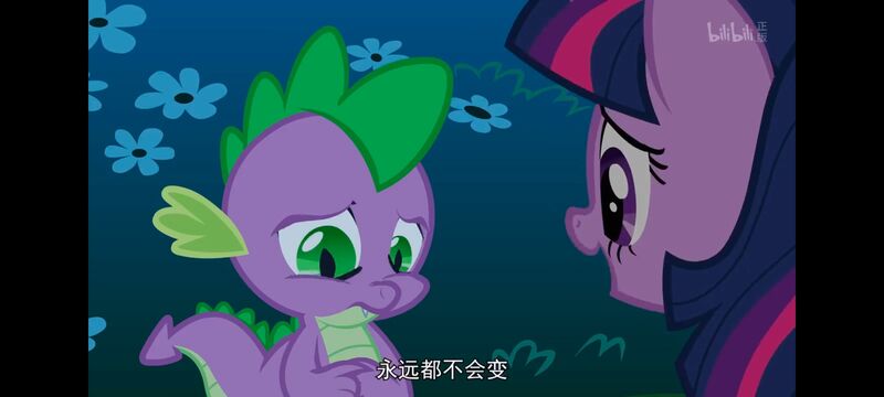 小马宝莉,彩虹小马,我的小马驹,动画,动漫,番剧,ACG,小马宝莉友谊魔法