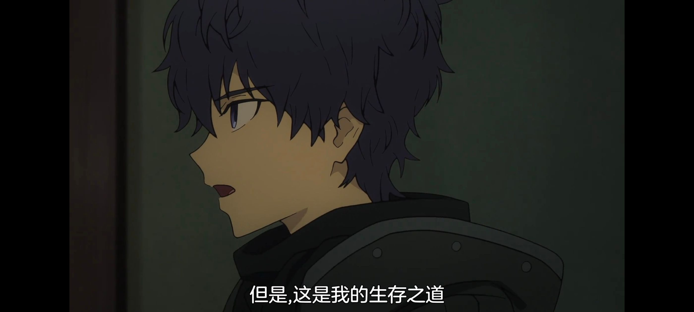 命运奇异赝品,FatestrangeFake,FATE,动画,动漫,番剧,二次元,ACG