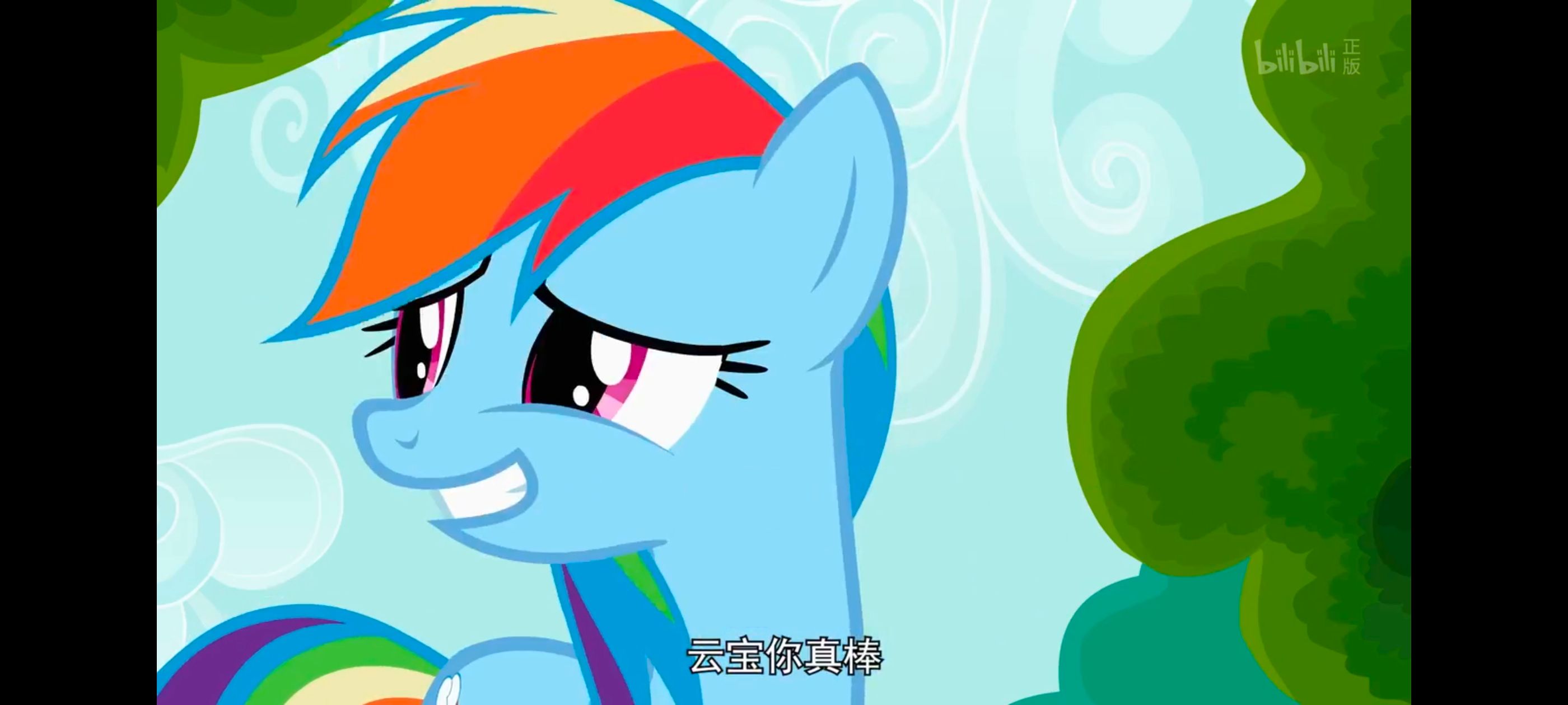 小马宝莉,彩虹小马,我的小马驹,动画,动漫,番剧,ACG