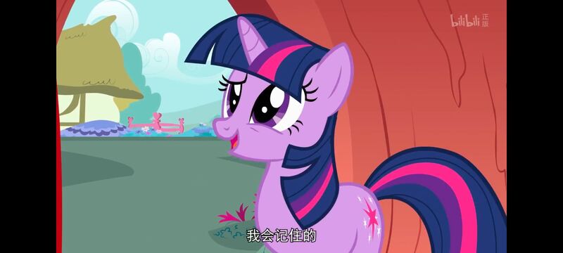 小马宝莉,小马宝莉友谊魔法,彩虹小马,我的小马驹,动画,动漫,番剧,ACG