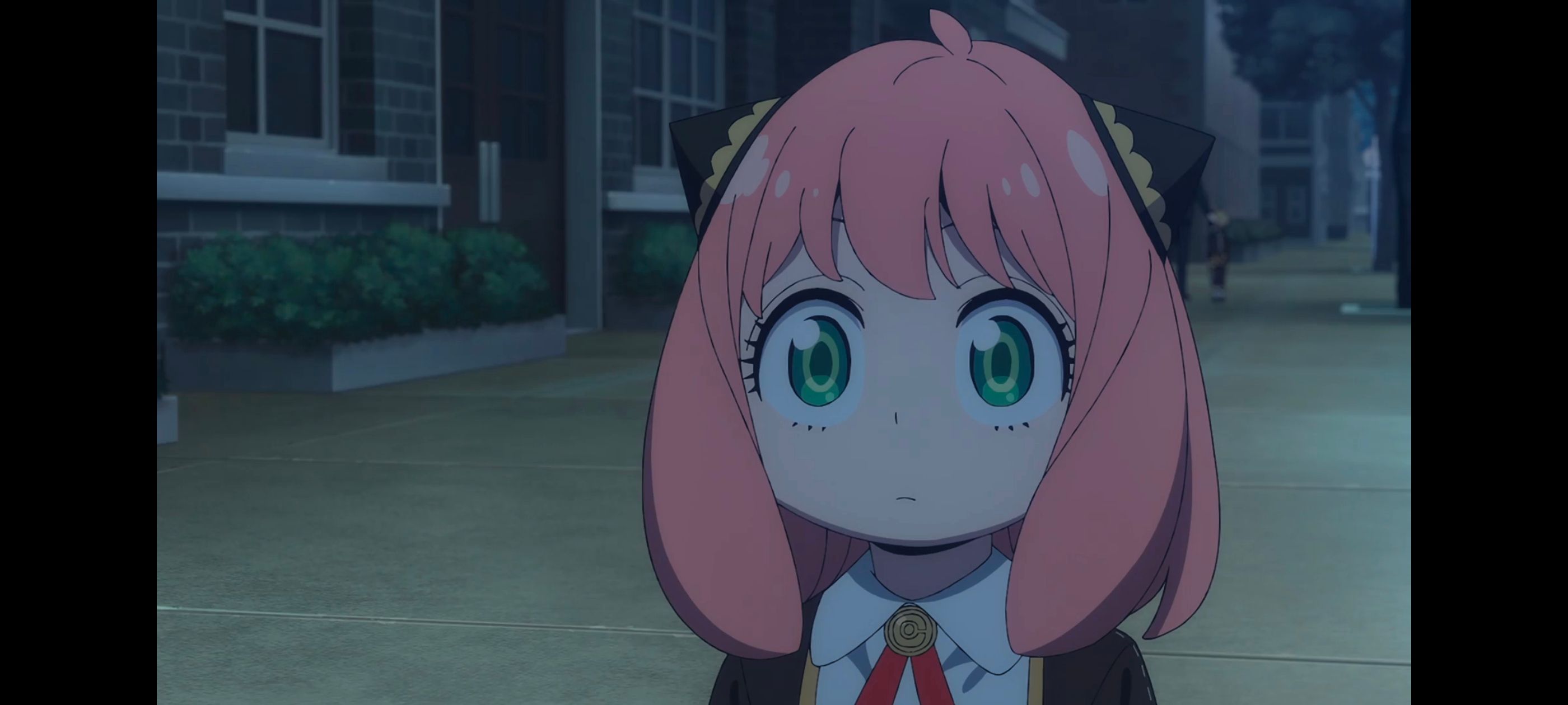 间谍过家家,SPYFAMILY,动画,动漫,番剧,ACG