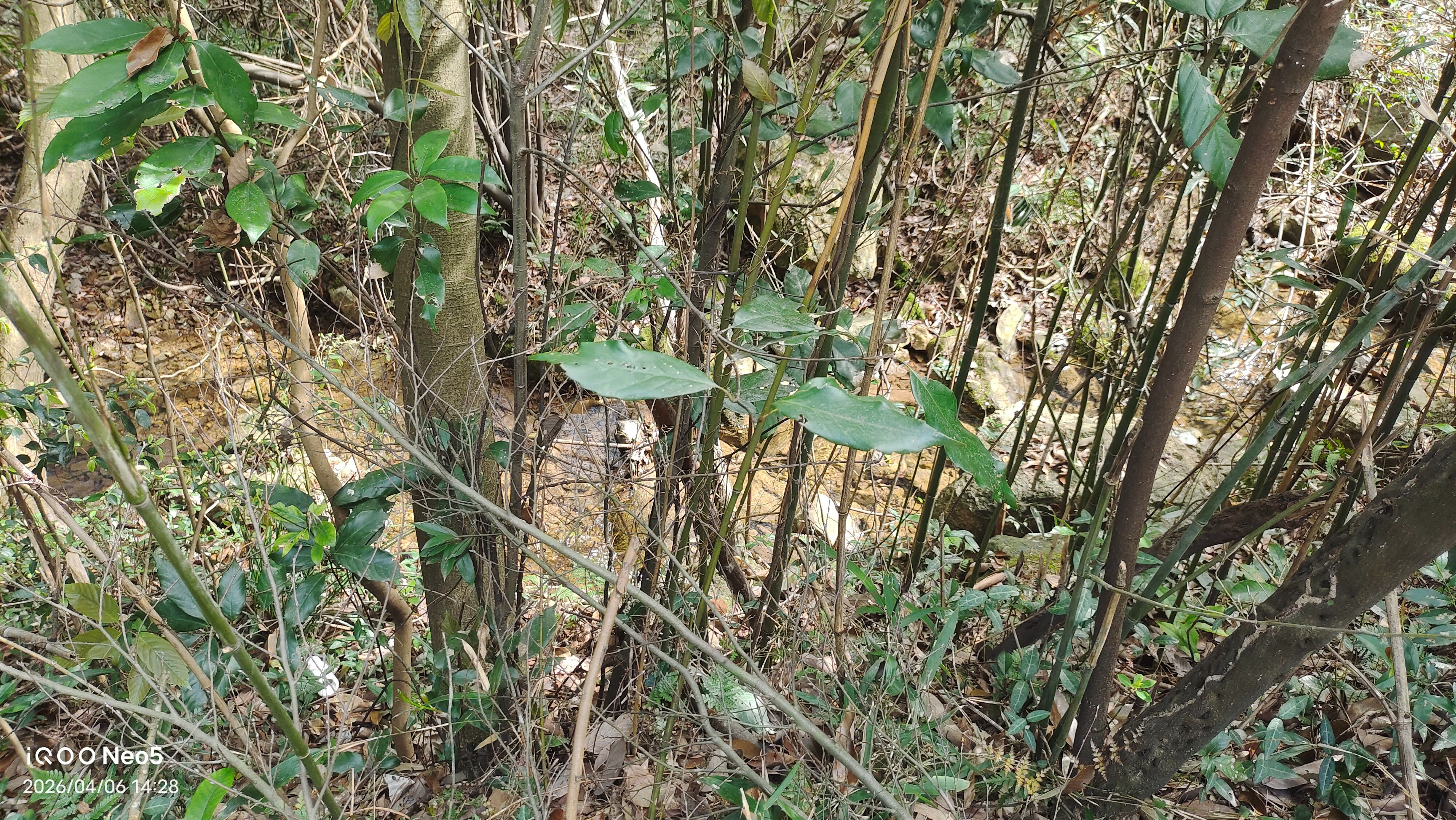 跑山,旅行,假期,生活,湖州