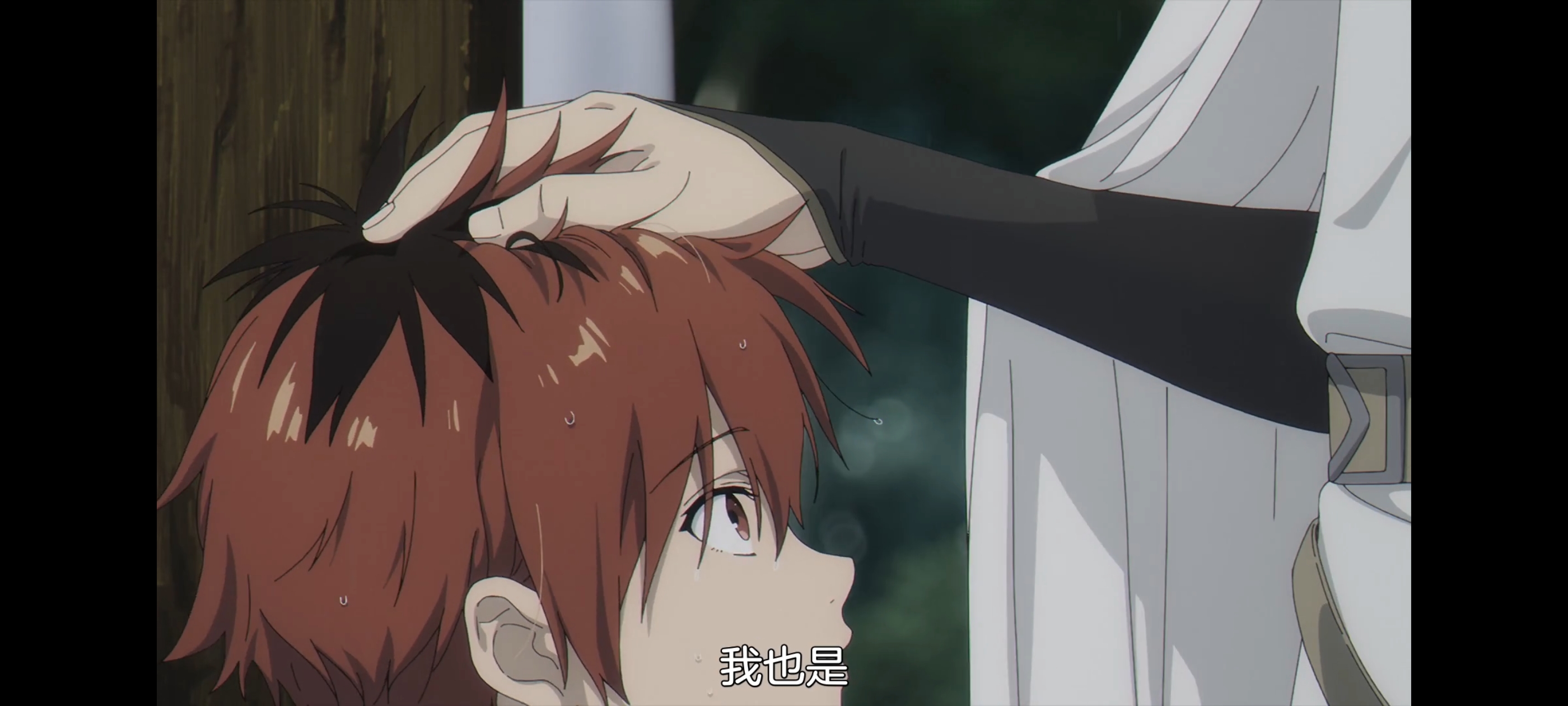 葬送的芙莉莲,动画,动漫,番剧,二次元,ACG