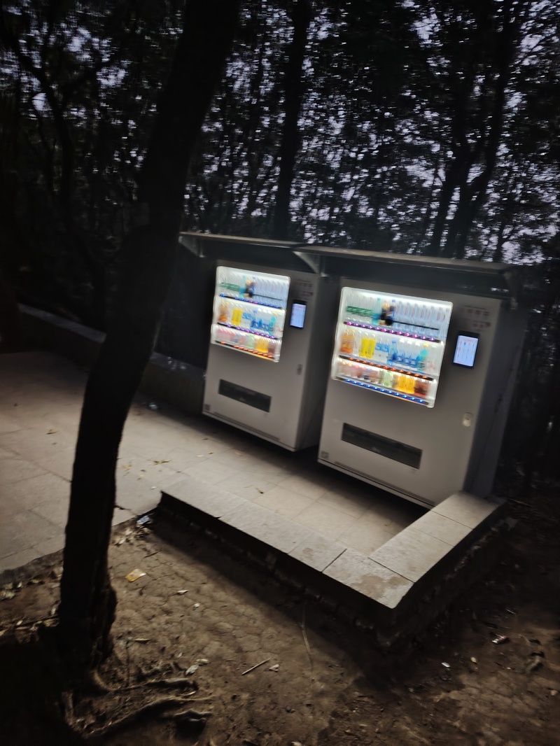 登山,记叙文,轻音少女