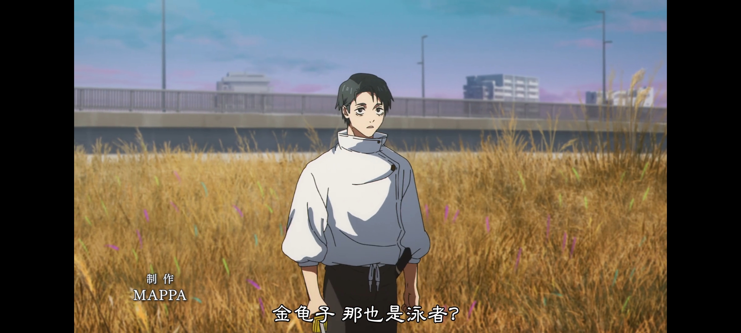 咒术回战,咒术回战死灭回游,动画,动漫,番剧,二次元,ACG