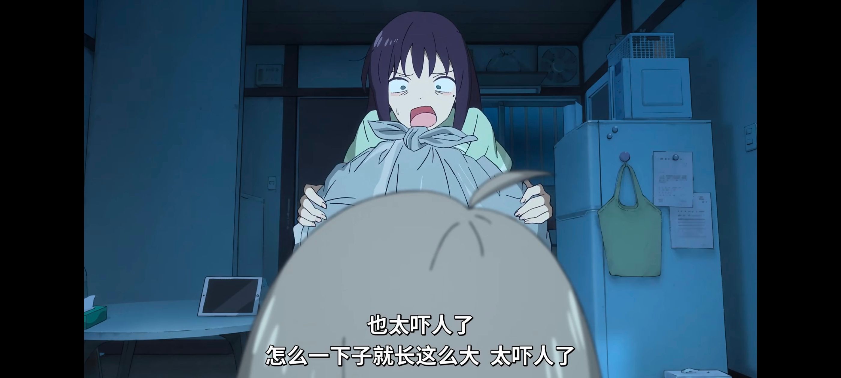 超时空辉夜姬,超時空輝夜姬,番剧,动画,动漫,二次元,ACG,动画电影