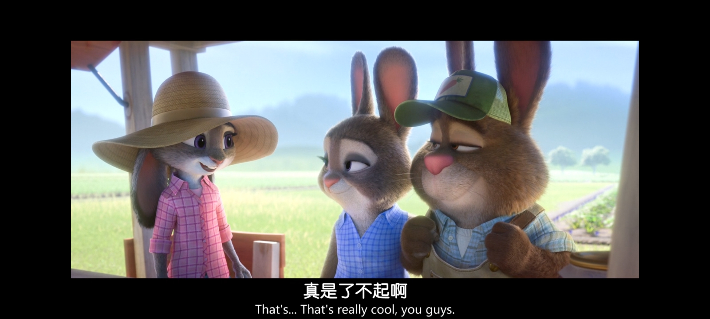 疯狂动物城,动画电影,动漫,动画,电影,二次元,ACG