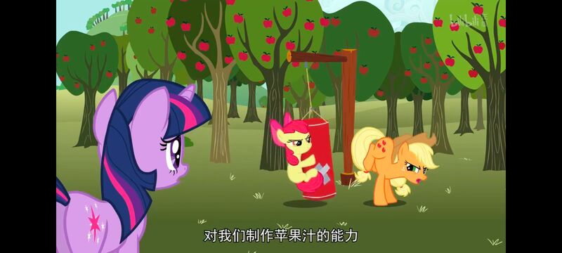 彩虹小马,小马宝莉,我的小马驹,美漫,动画,动漫,番剧,二次元,ACG