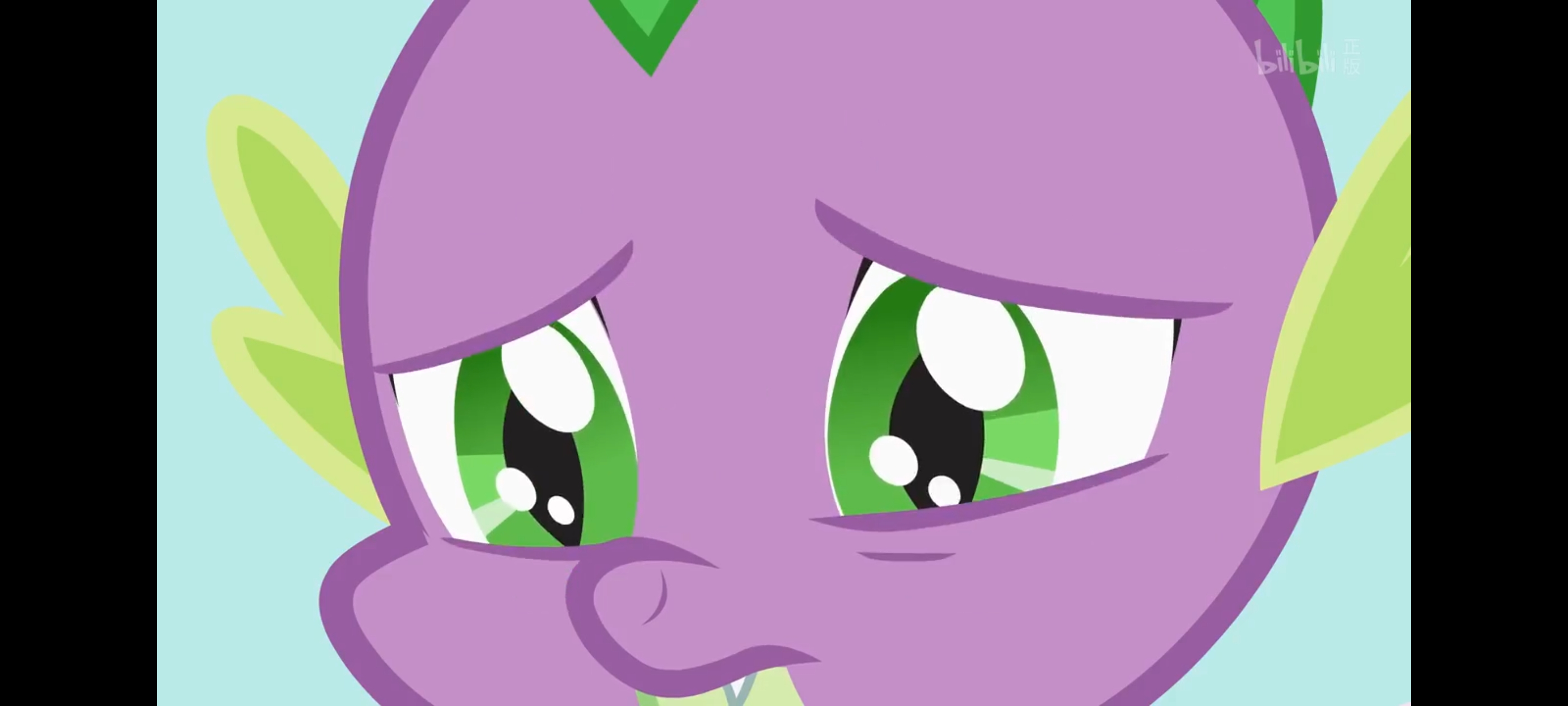 小马宝莉,彩虹小马,我的小马驹,动画,动漫,番剧,二次元,ACG