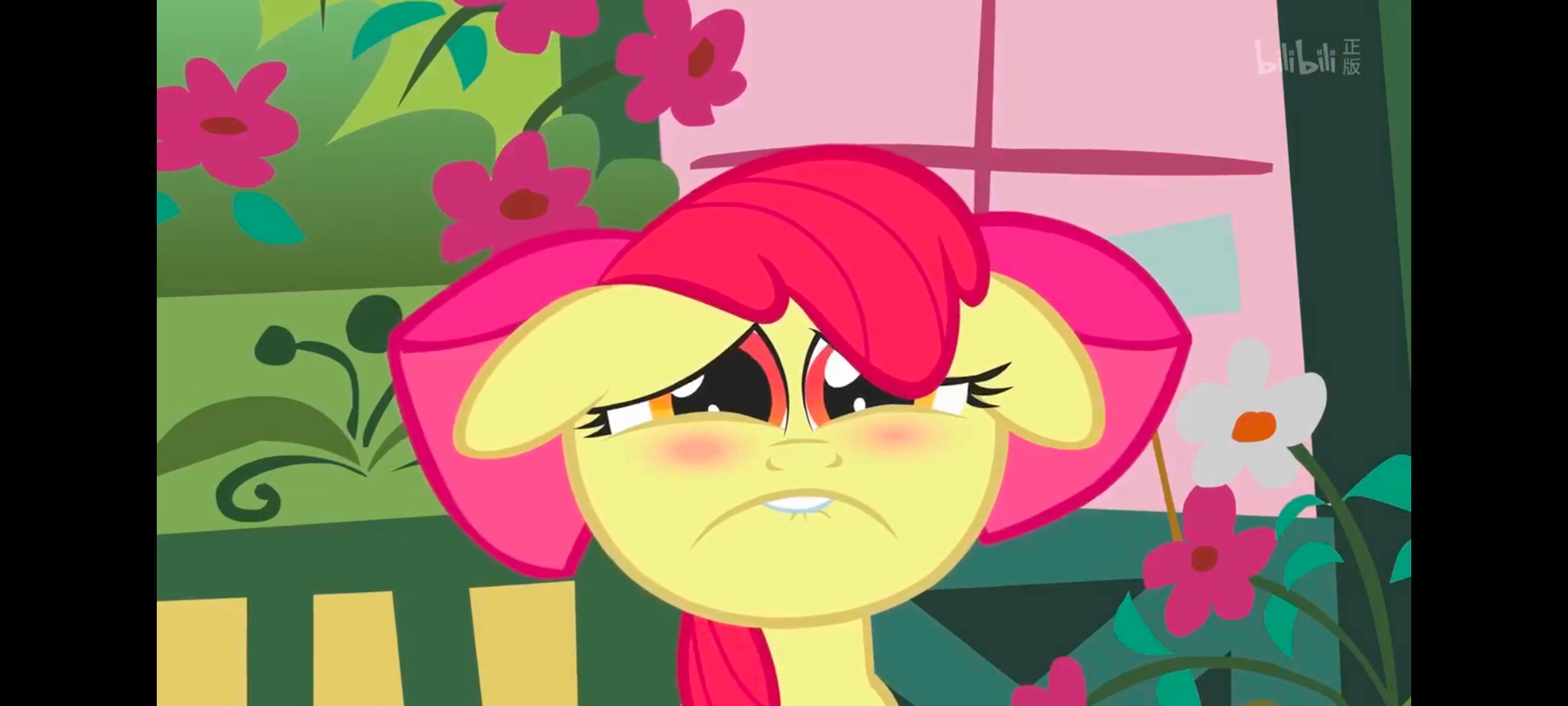 小马宝莉,小马宝莉友谊魔法,彩虹小马,我的小马驹,动画,动漫,番剧,ACG