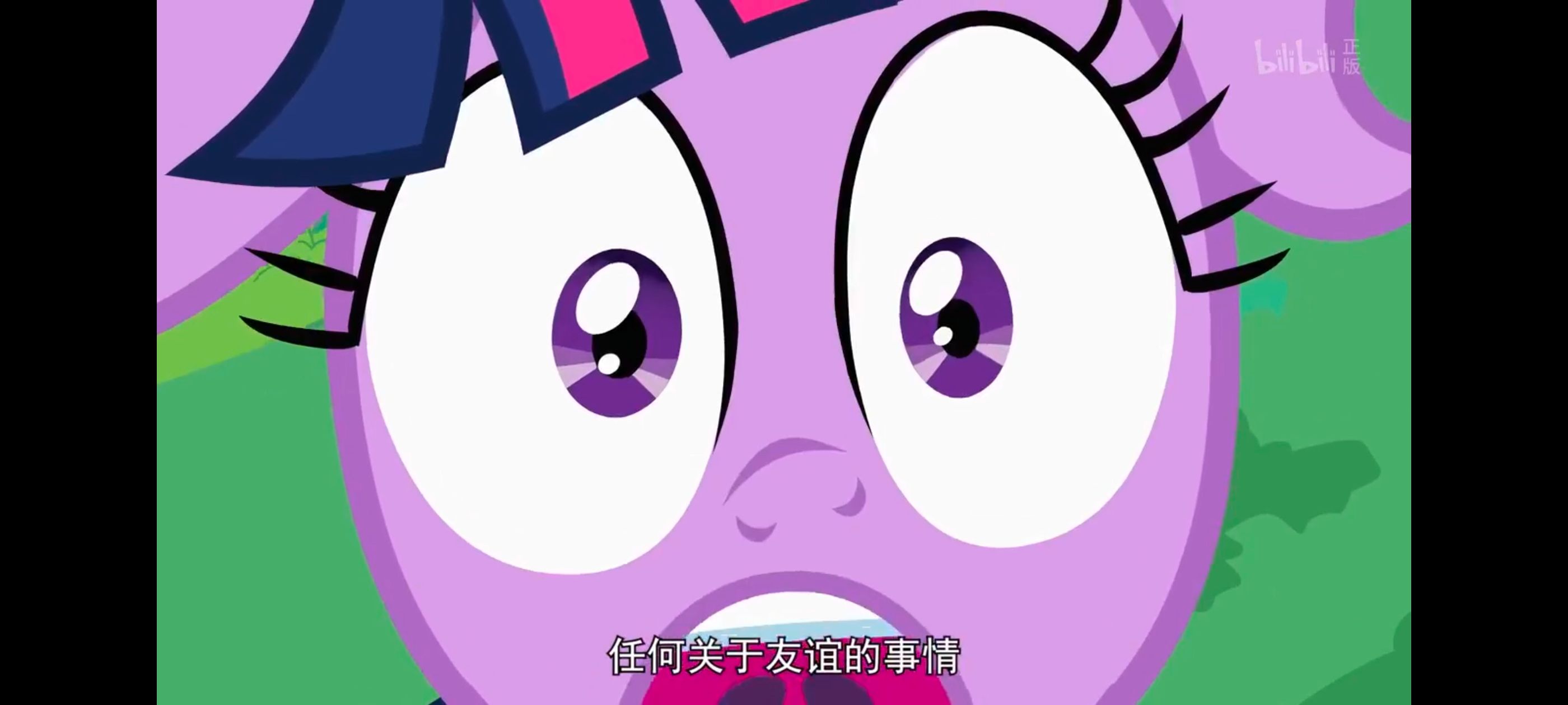 小马宝莉,小马宝莉友谊魔法,彩虹小马,我的小马驹,动画,动漫,番剧,ACG