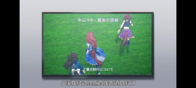 赛马娘,赛马娘PrettyDreby,芦毛灰姑娘,赛马娘芦毛灰姑娘,动画,动漫,番剧,ACG