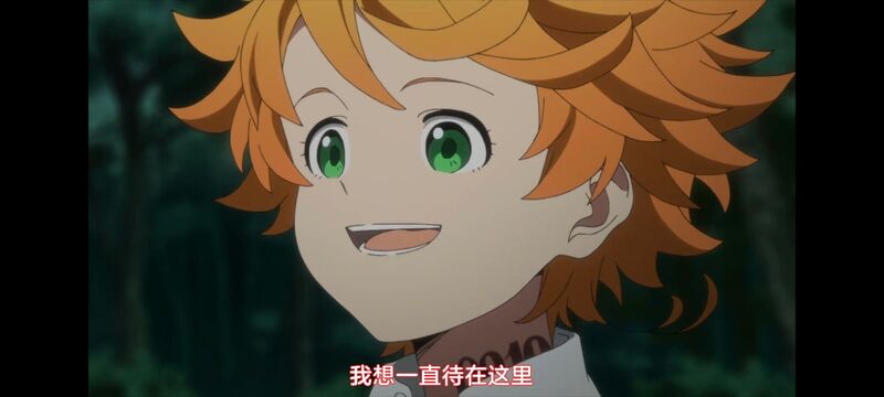 约定的梦幻岛,动画,动漫,番剧,ACG