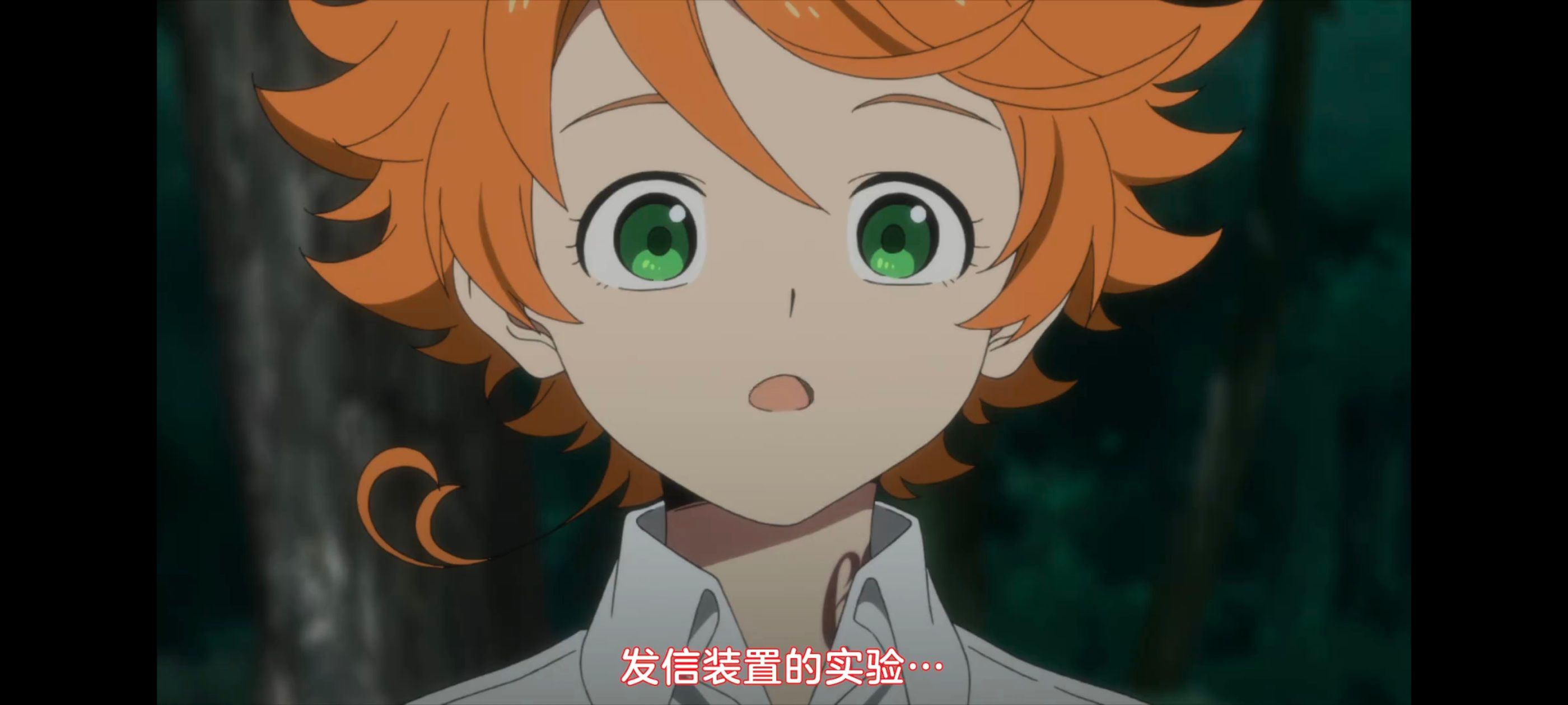 约定的梦幻岛,动画,动漫,番剧,ACG