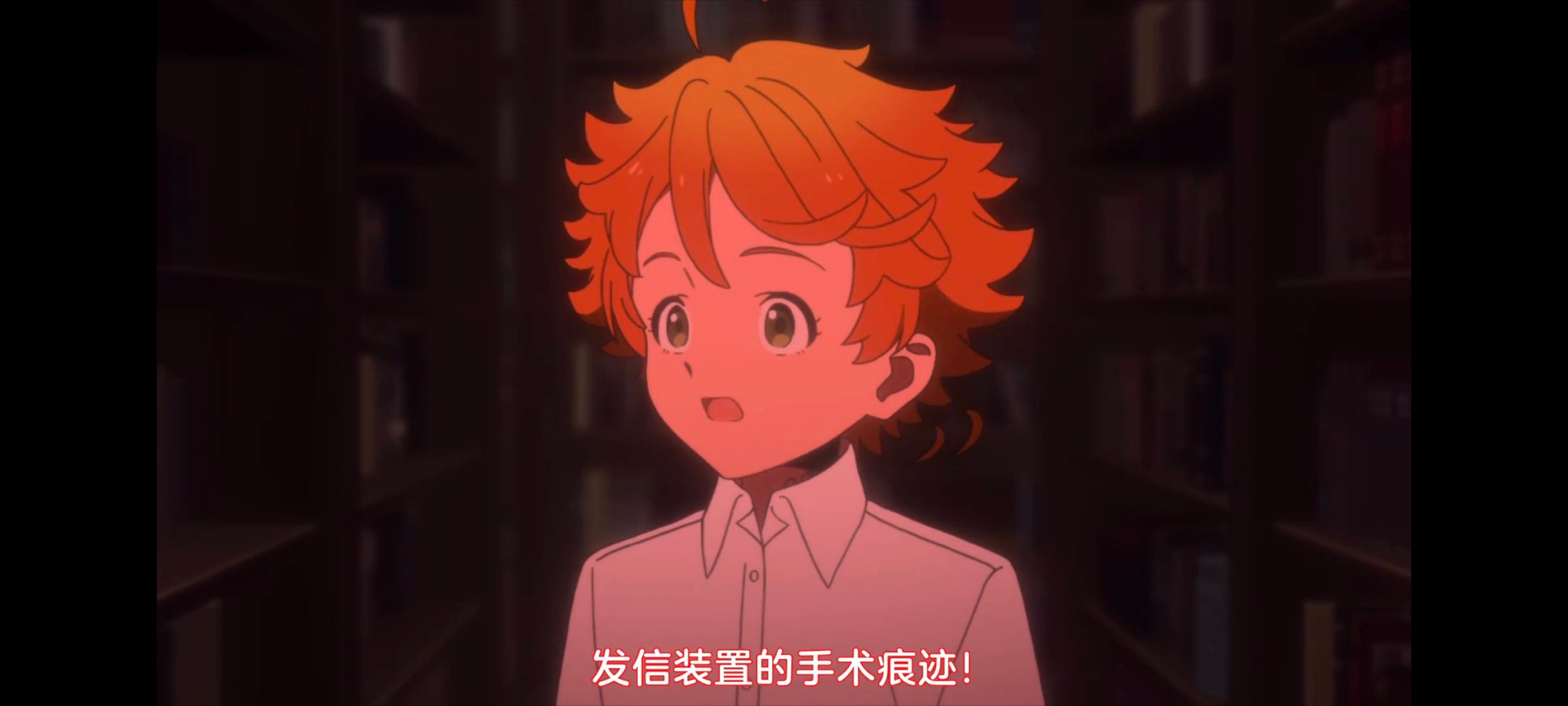 约定的梦幻岛,动画,动漫,番剧,ACG