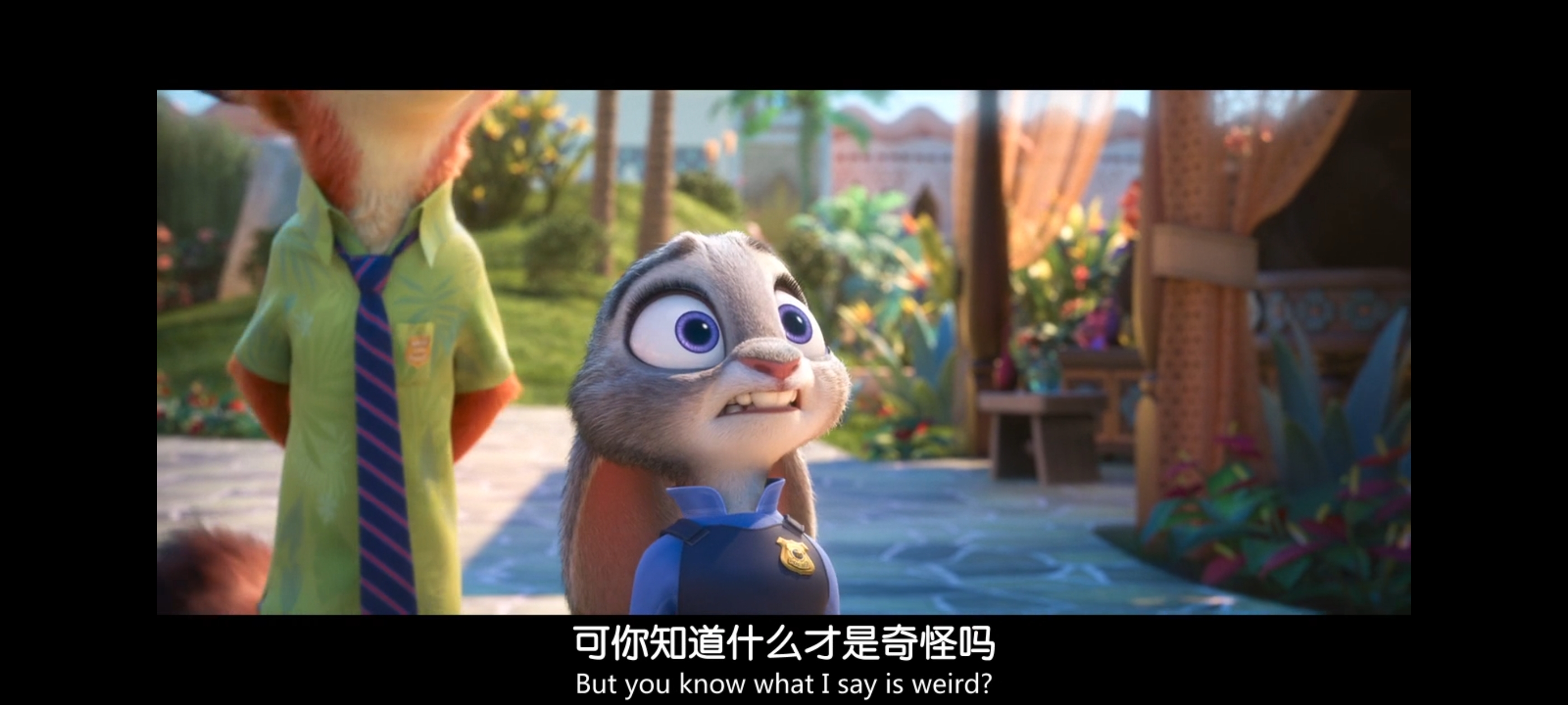 疯狂动物城,动画电影,动漫,动画,电影,二次元,ACG