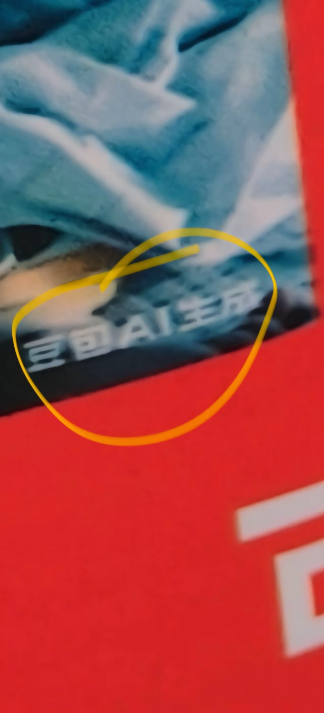 诈骗,豆包,乞讨