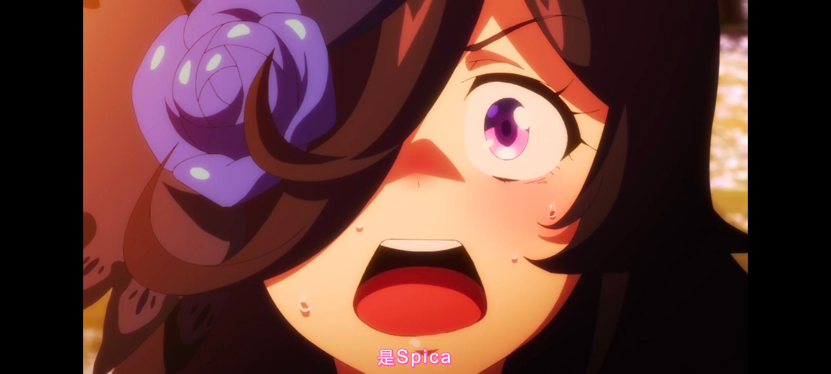 赛马娘,赛马娘第二季,动画,动漫,番剧,二次元,ACG,赛马娘PrettyDerby