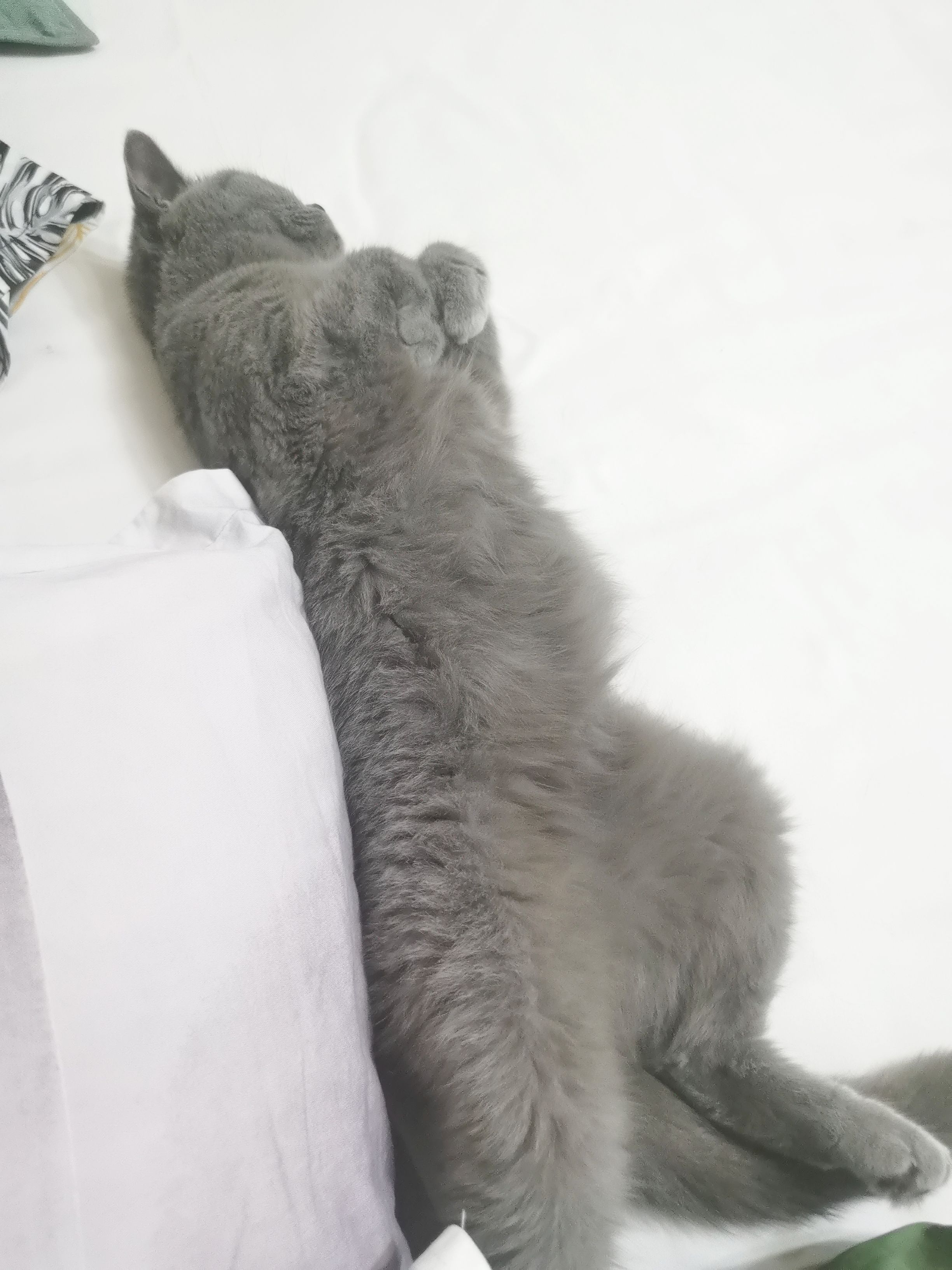 /static/c17b38183812b606ac4adfb0c9bfc5693470577daf53950a6ec2a830bbce0201.jpg