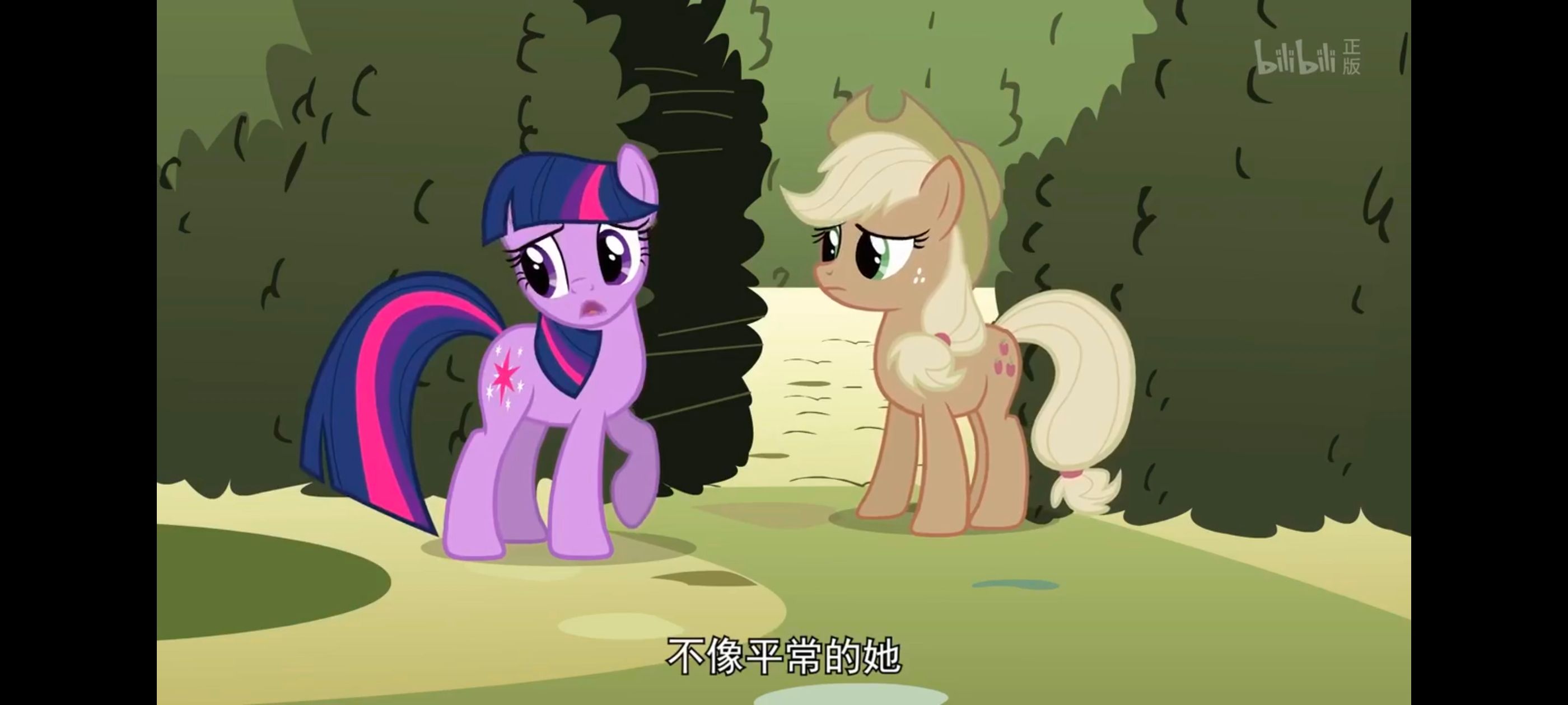 小马宝莉,小马宝莉友谊魔法,彩虹小马,我的小马驹,动画,动漫,番剧,ACG