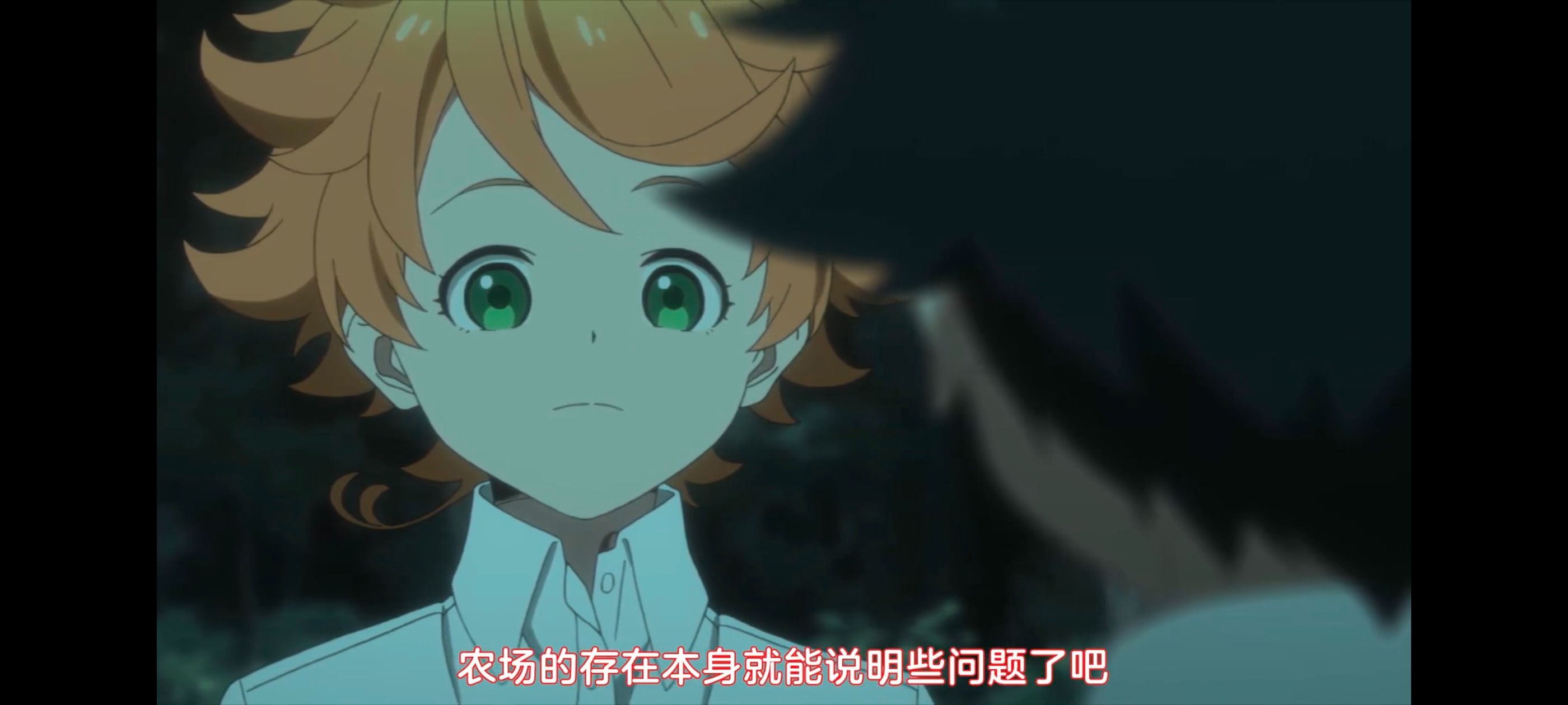 约定的梦幻岛,动画,动漫,番剧,ACG