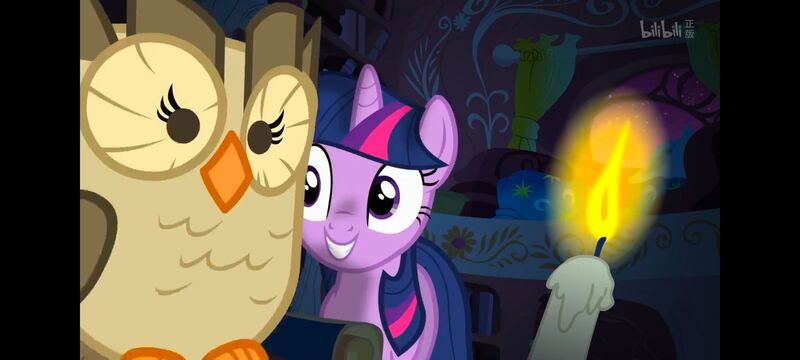 小马宝莉,彩虹小马,我的小马驹,动画,动漫,番剧,ACG,小马宝莉友谊魔法