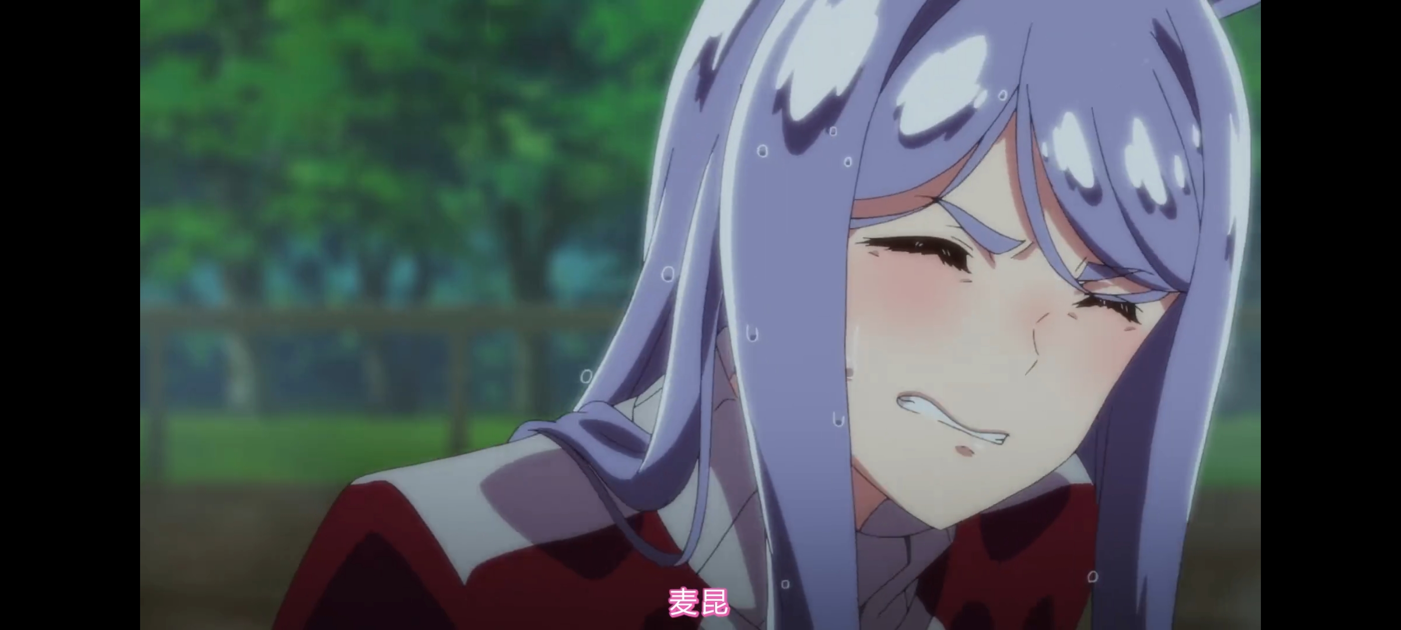 赛马娘,赛马娘第二季,赛马娘PrettyDerby,动画,动漫,番剧,二次元,ACG