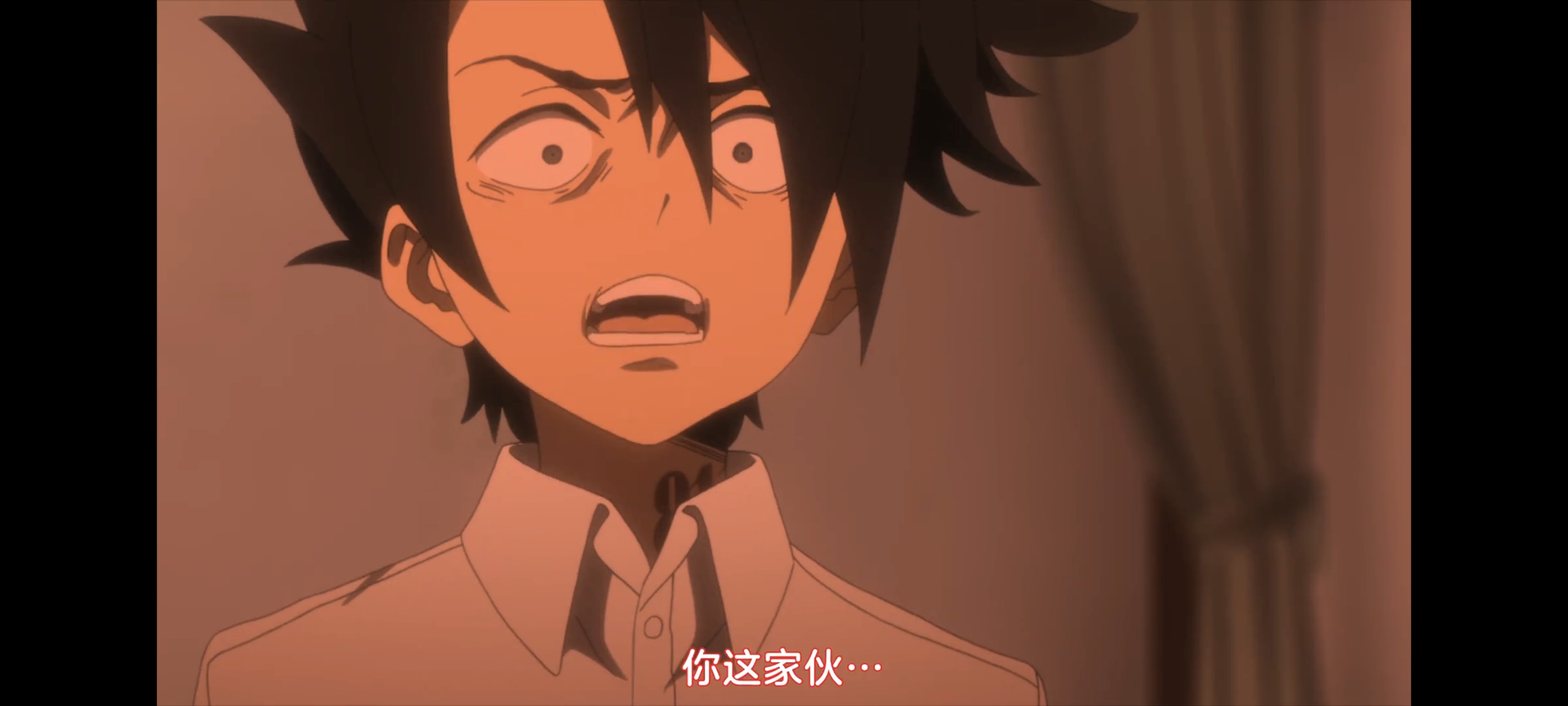 约定的梦幻岛,动画,动漫,番剧,二次元,ACG