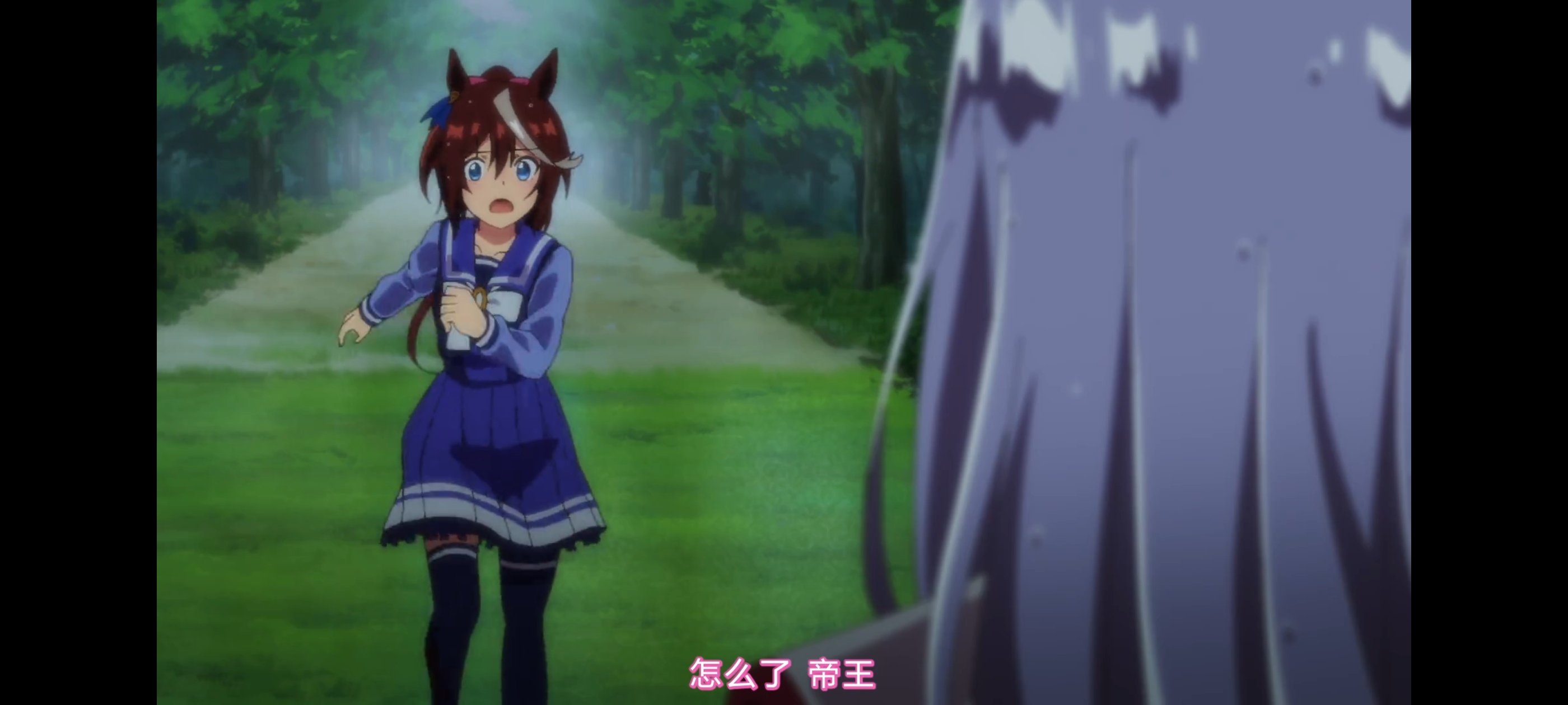 赛马娘,赛马娘第二季,赛马娘PrettyDerby,动画,动漫,番剧,二次元,ACG