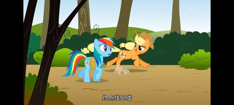 小马宝莉,小马宝莉友谊魔法,彩虹小马,我的小马驹,动画,动漫,番剧,ACG