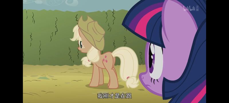 小马宝莉,小马宝莉友谊魔法,彩虹小马,我的小马驹,动画,动漫,番剧,ACG