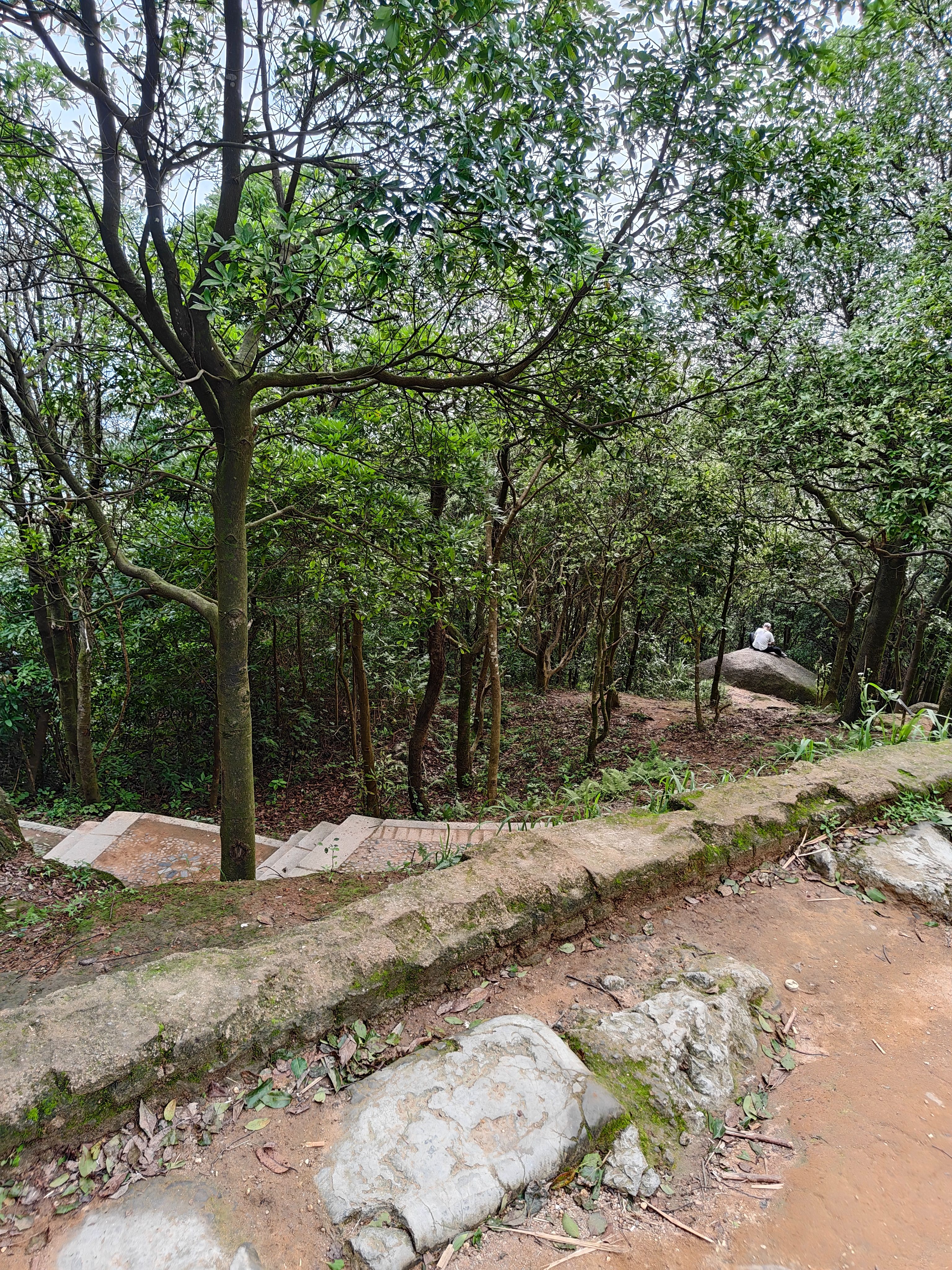 登山,阳台山,羊台叠翠