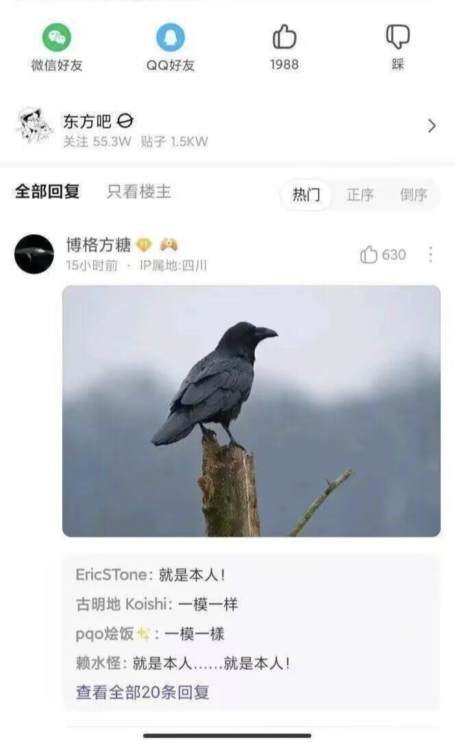 东方,射命丸文