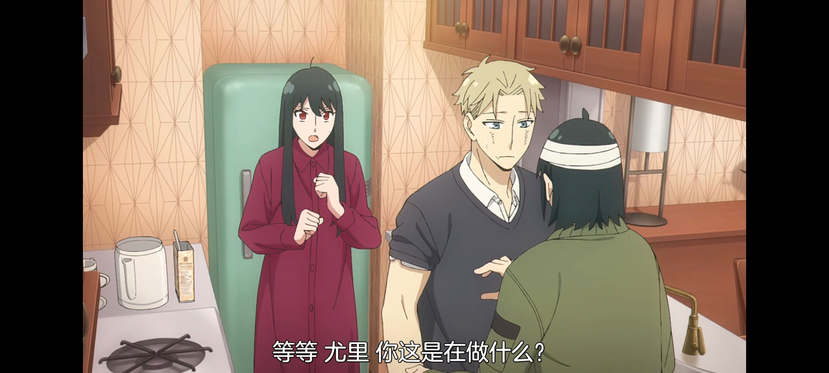 间谍过家家,SPYFAMILY,动画,动漫,番剧,ACG