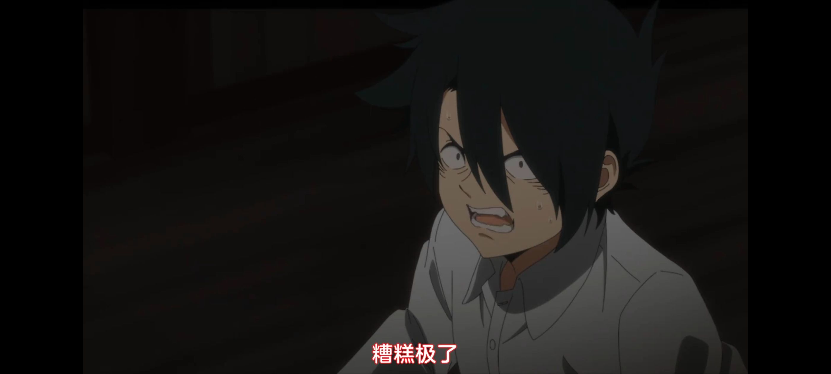 约定的梦幻岛,动画,动漫,番剧,二次元,ACG