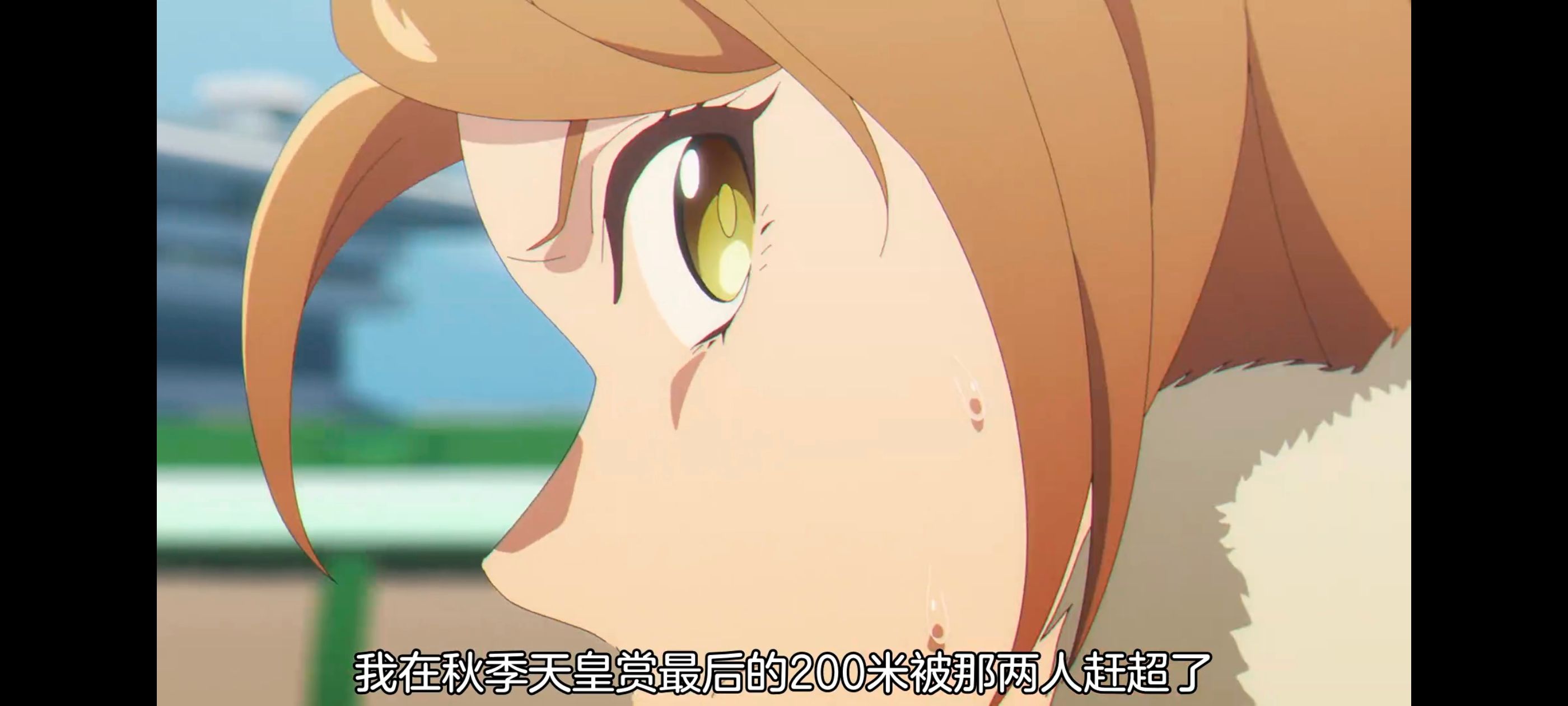 赛马娘,赛马娘PrettyDreby,赛马娘芦毛灰姑娘,芦毛灰姑娘,动画,动漫,番剧,ACG