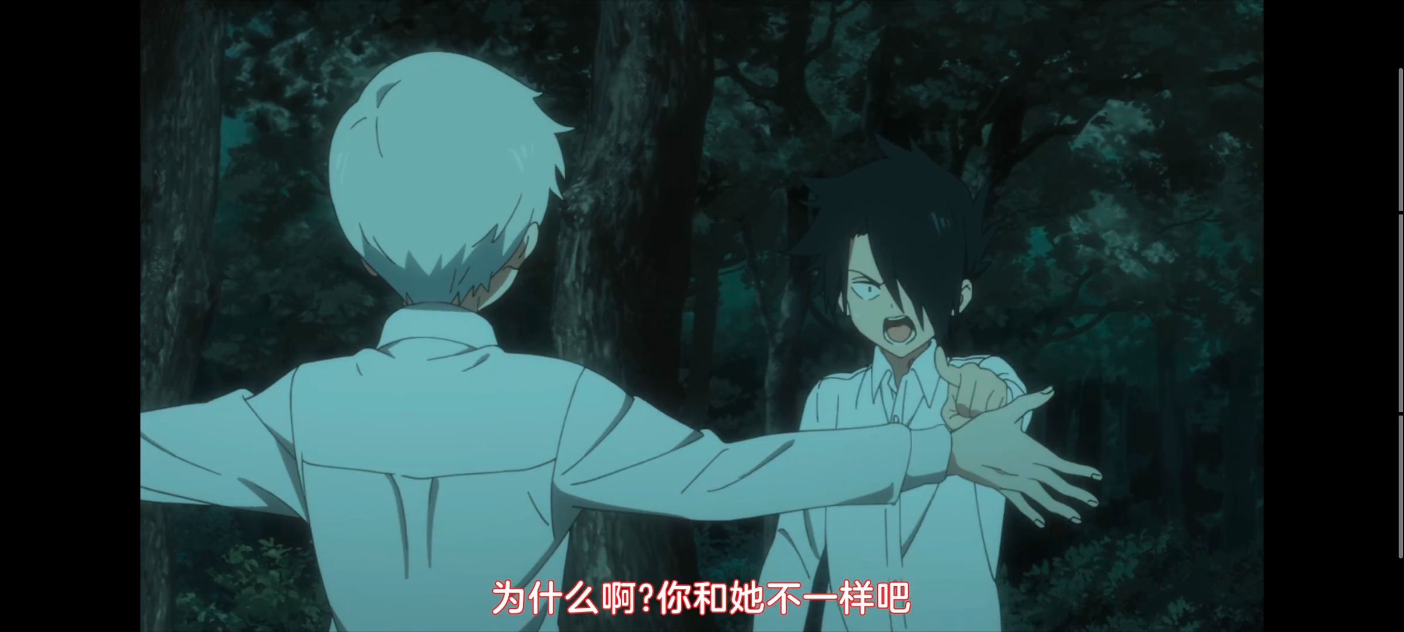 约定的梦幻岛,动画,动漫,番剧,ACG