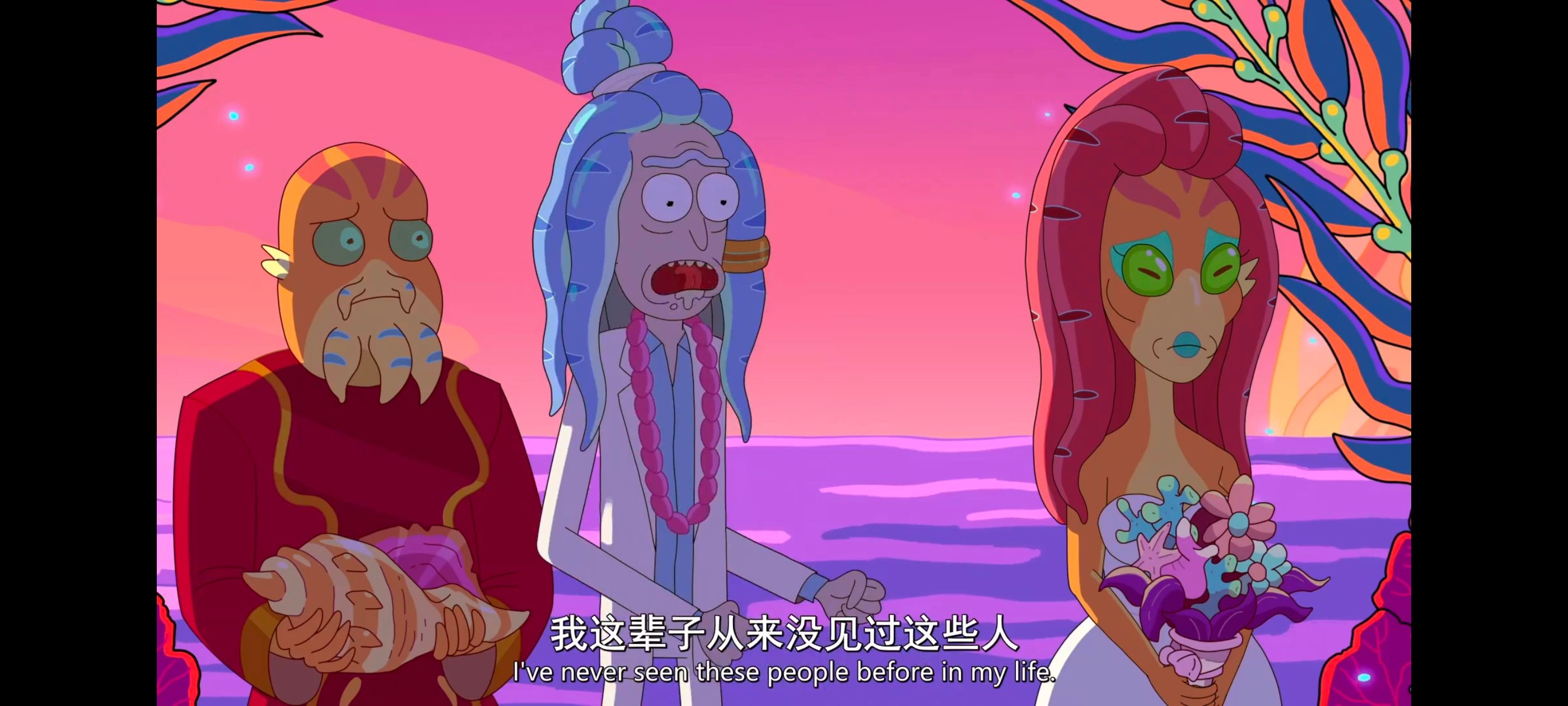 瑞克和莫蒂,瑞克与莫蒂,美漫,动画,动漫,番剧,二次元,ACG